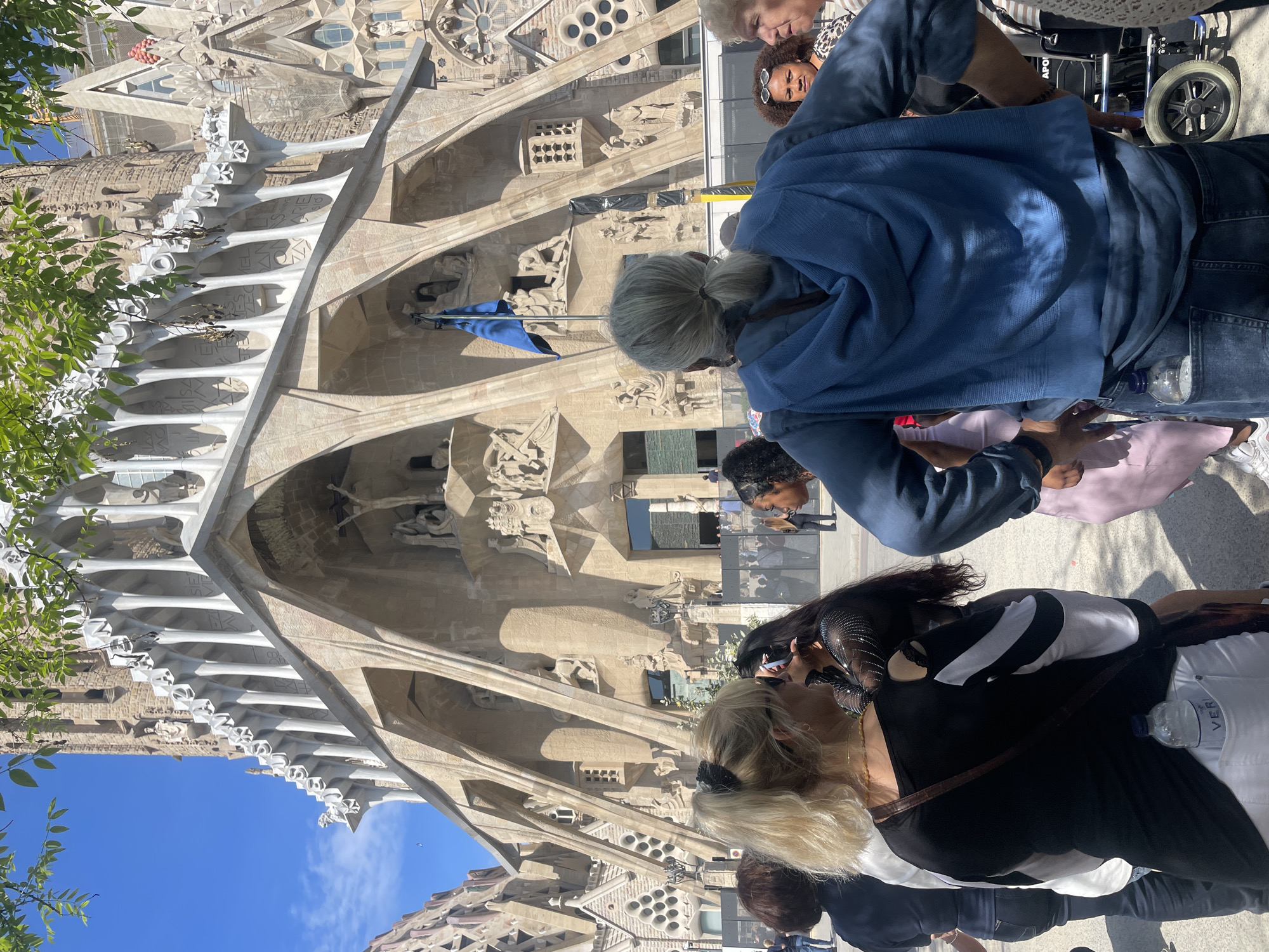 The image shows a partial view of the Sagrada Familia, a large Roman Catholic minor basilica in Barcelona, Spain. The basilica's facade is visible, showcasing its intricate stone carvings, architectural elements, and a blue flag. A group of people, primarily tourists, are standing in the foreground, observing the basilica. One person is in a wheelchair. The sky is partially visible, and a tree branch with leaves is on the left side of the picture.