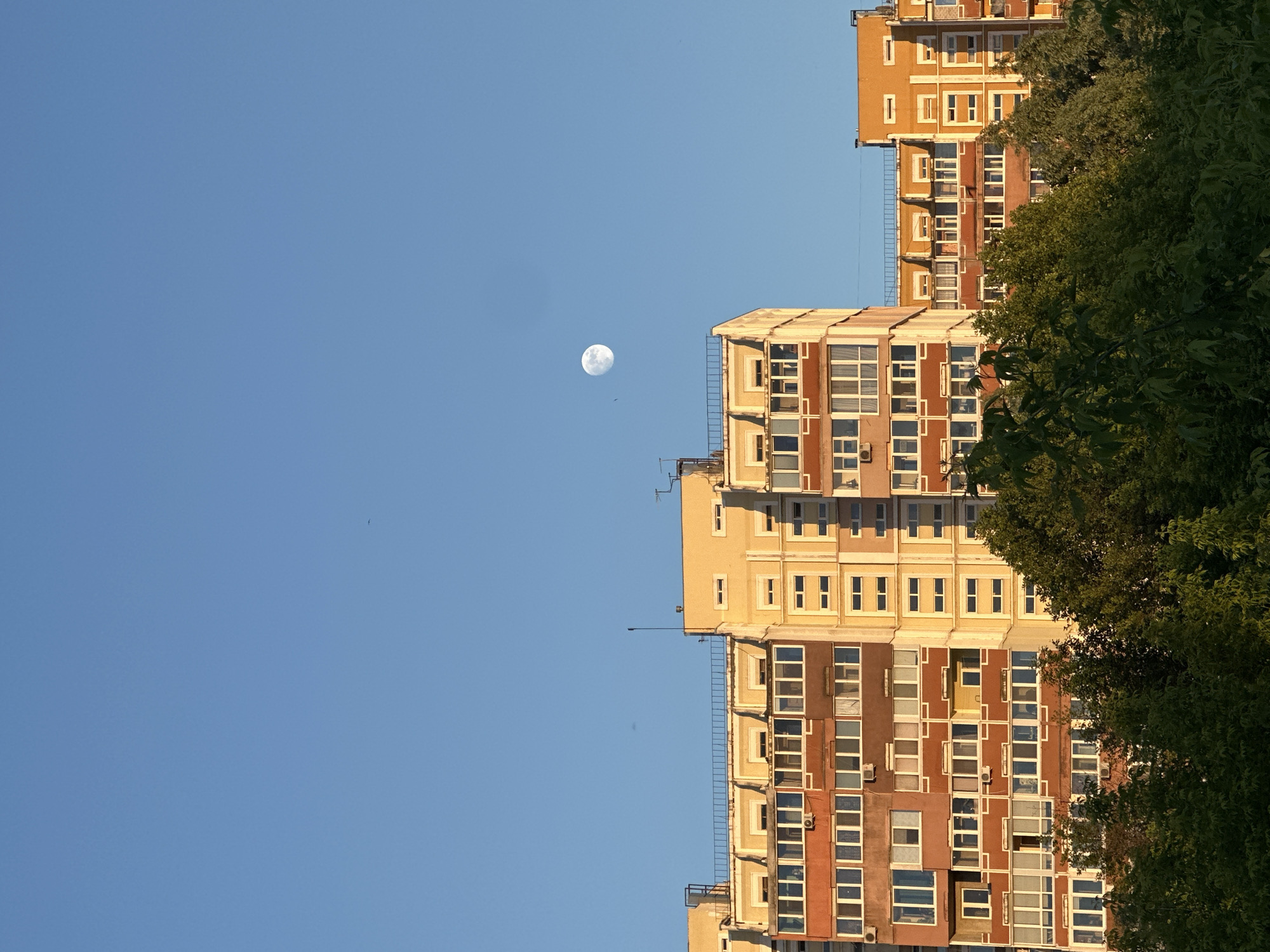 A vertical, low-angle shot shows three apartment buildings under a blue sky with a visible moon. The buildings are a mix of beige and red brick, adorned with numerous windows. Dense green foliage partially obscures the rightmost building. A few birds are visible in the clear sky near the moon. The location is Unknown, Unknown.