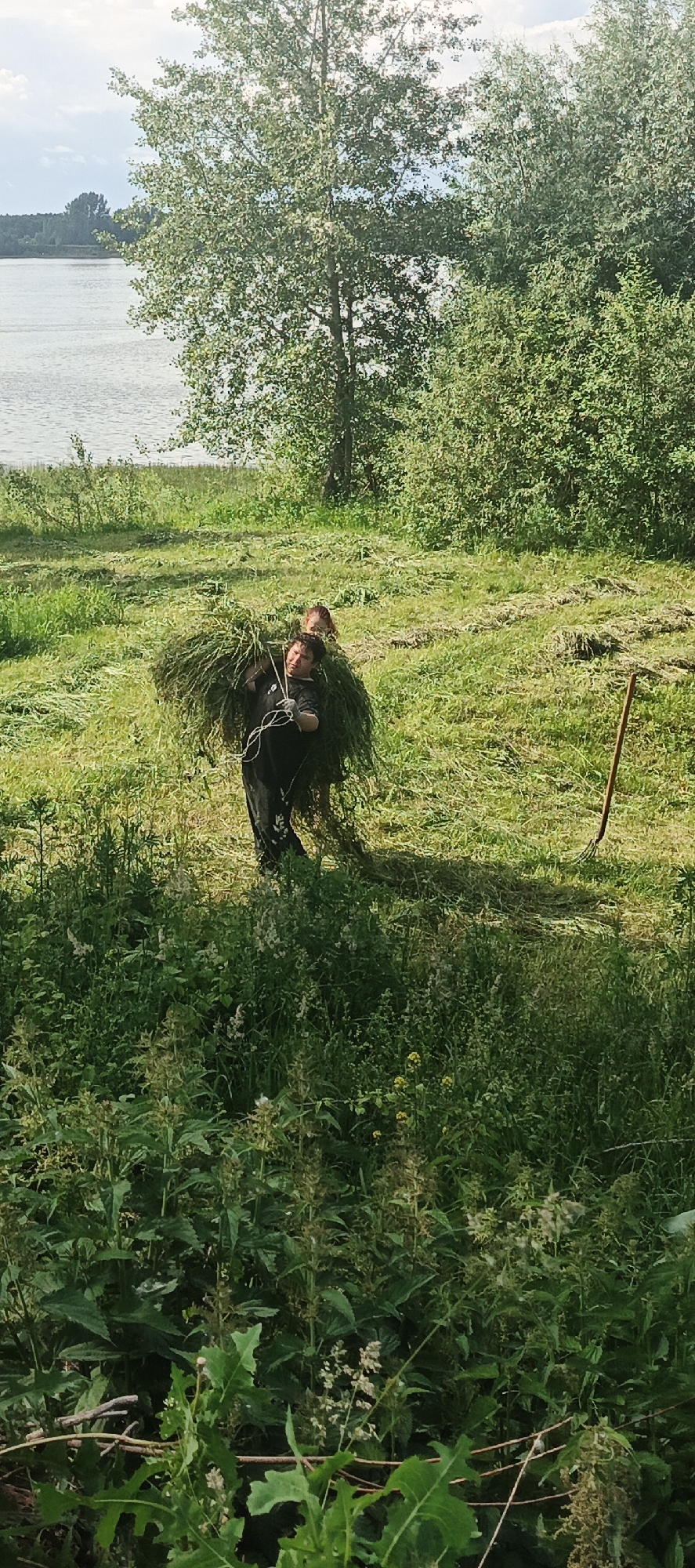 A person in a black shirt is carrying a large bundle of grass over their shoulders, with another person partially visible behind them. They are walking across a mown field. In the background, a body of water is visible, with trees and vegetation surrounding the area. The scene appears to be a rural or natural setting. The location is the city of Chaikovsky, Russia.