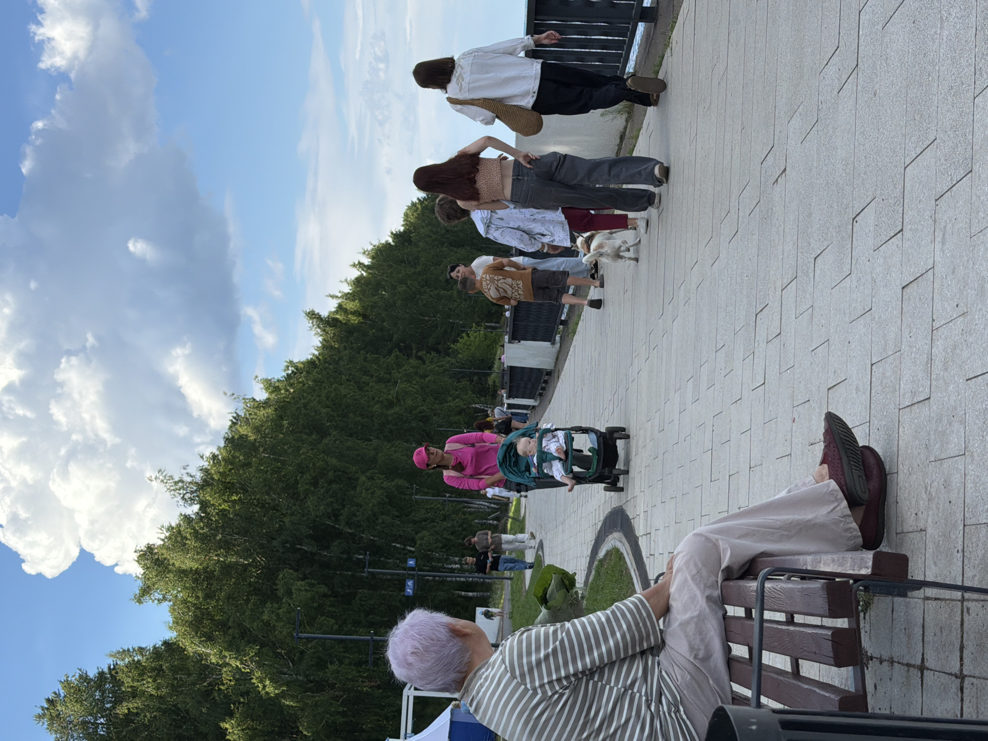 The image depicts a lively outdoor scene, likely a park or a promenade in Chaikovsky, Russia, under a bright, partly cloudy sky, suggesting midday. A group of people are walking along a paved walkway lined with trees on one side. The group includes several individuals, some walking together, one with a baby in a stroller, and a small dog trotting alongside.
In the foreground, a person with light purple hair is seated on a wooden bench, their legs extended and resting on the bench. They are wearing a striped shirt. The perspective from behind this seated person emphasizes the activity happening along the walkway.
Further down the path, a woman in a vibrant pink outfit pushes a stroller with a baby inside. Other people are seen walking and interacting. One person carries a bag over their shoulder, and another is looking at their phone. The clothing styles suggest casual summer attire.
The background features lush green trees, forming a dense natural border to the paved area. The sky is a mix of blue and large, fluffy white clouds, indicating fair weather. The overall atmosphere appears relaxed and social, with people enjoying an outing in a pleasant environment. There is no visible text in the image.