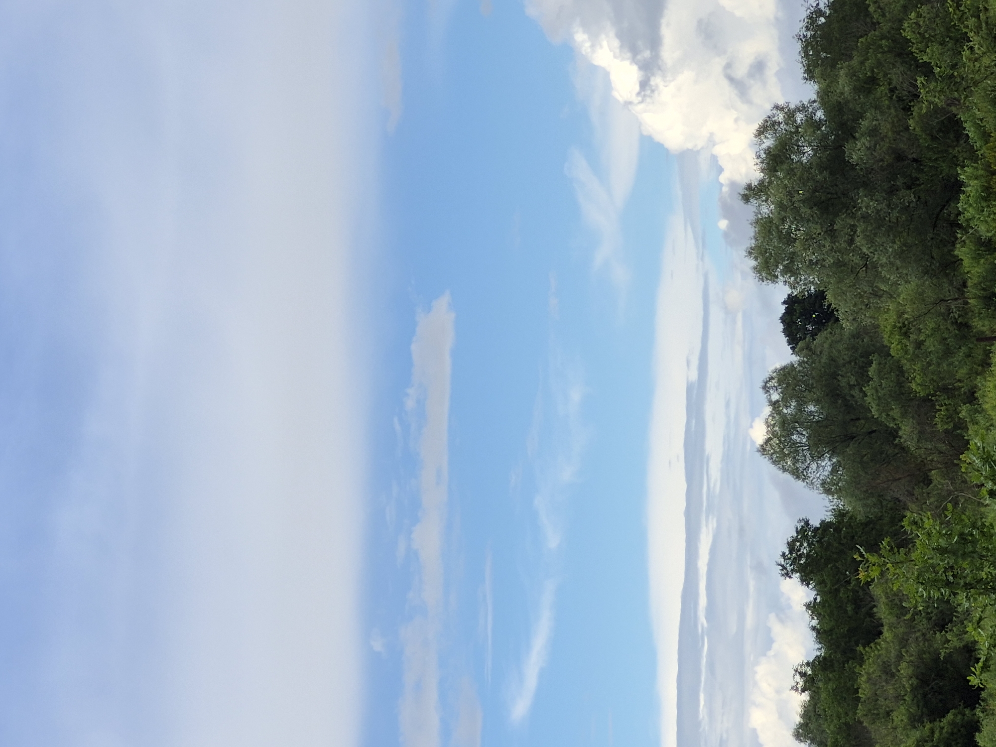 The image depicts a verdant forest line against a sky filled with a variety of clouds. The trees are dense and lush, with varying shades of green foliage indicating different species or stages of growth. The sky above transitions from a bright, clear blue near the horizon to a lighter, hazy blue higher up, with streaks of white cirrus clouds and larger, more substantial cumulus clouds visible. The lower portion of the sky shows a band of lighter, possibly lower-lying clouds, which contrast with the darker masses of clouds on the right side of the frame. There are no people or man-made structures visible. The scene appears to be a natural landscape, possibly on the outskirts of the city of Sooblase, Estonia, where the natural environment dominates the view.