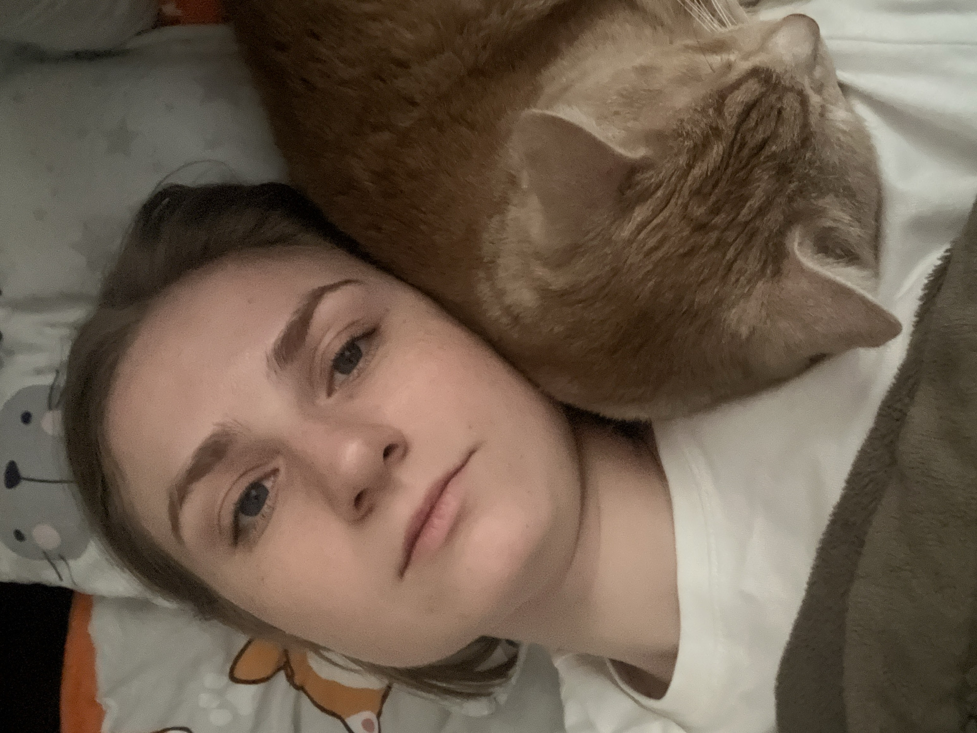 A young woman with light skin, brown hair, and blue eyes is lying on a bed with a patterned pillowcase. An orange tabby cat rests its head on her head. She wears a white T-shirt and is partially covered by a brown blanket. The lighting is soft. The location is unknown and not necessarily Novosibirsk, Russia.