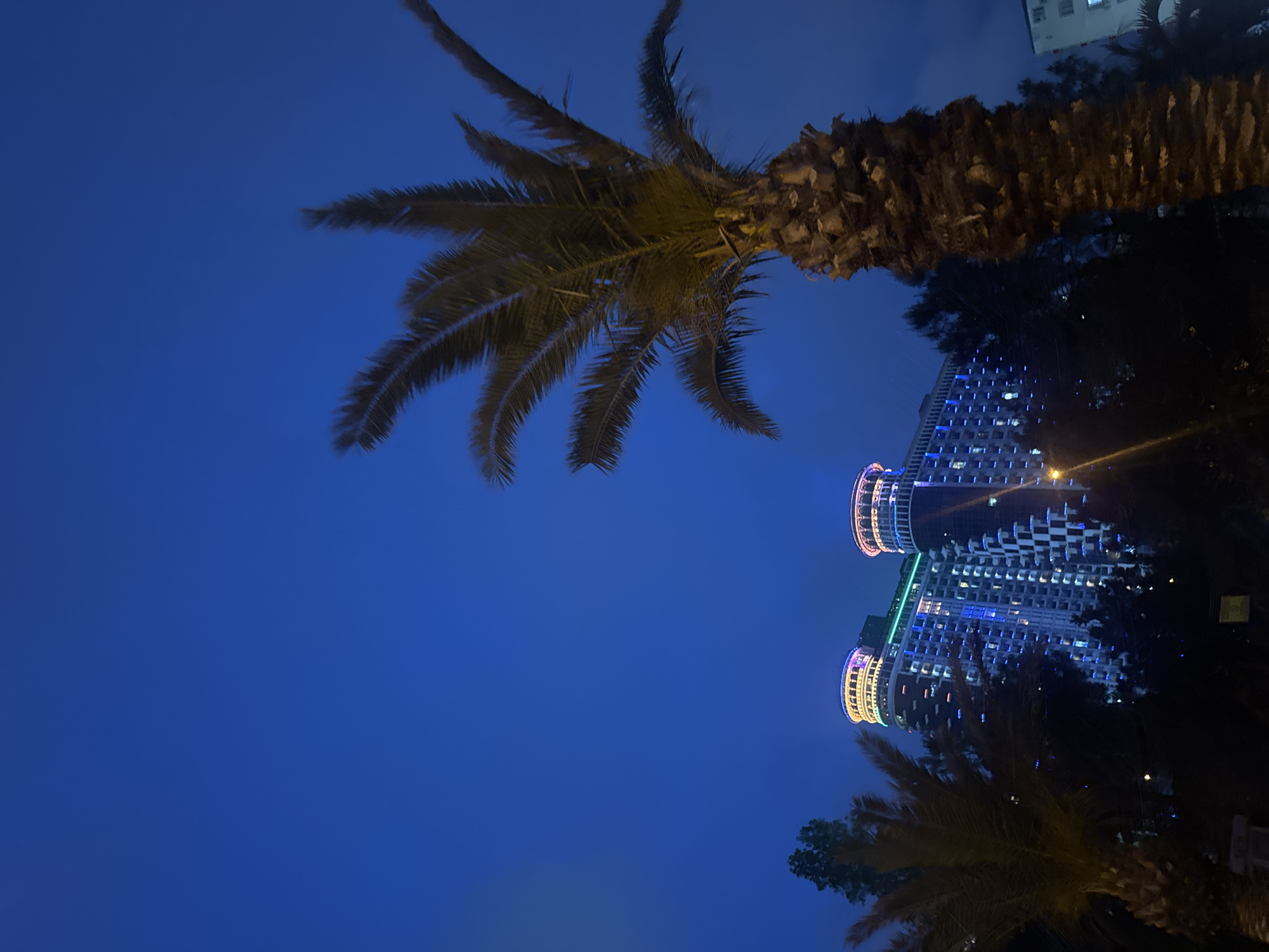 The image shows a low-angle view at night. A palm tree is prominently positioned in the frame, with its fronds reaching towards the upper left. To the right of the tree is a tall building illuminated with multiple lights. Other trees and foliage are visible in the lower right and center. The background is a dark blue sky. The location is an urban area in Unknown, Unknown.