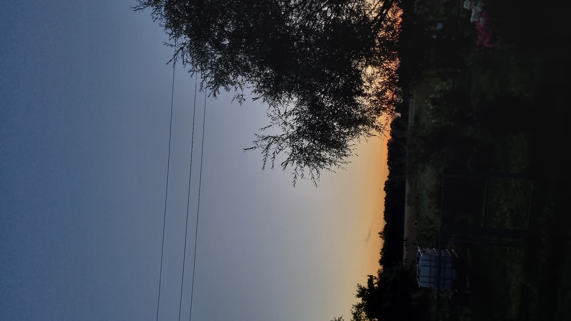 The image depicts a rural landscape at dusk, likely in the city of Vysokoe, Russia. The sky transitions from a deep blue at the top to a gradient of lighter blue and then to a warm orange glow near the horizon. Three thin, dark power lines are strung horizontally across the upper portion of the frame. On the right side, the silhouette of a large tree with thin, delicate branches occupies a significant portion of the image. In the middle ground, a dark line of trees forms the horizon, with a hint of a field or open land visible behind it. In the lower left, a large, white, rectangular tank with a metal frame is visible, likely a water or storage tank, situated near a fence. The foreground is dark and shadowed, with indistinct foliage and a hint of pink and white flowers on the far right. The overall impression is one of peaceful twilight in a rural setting.