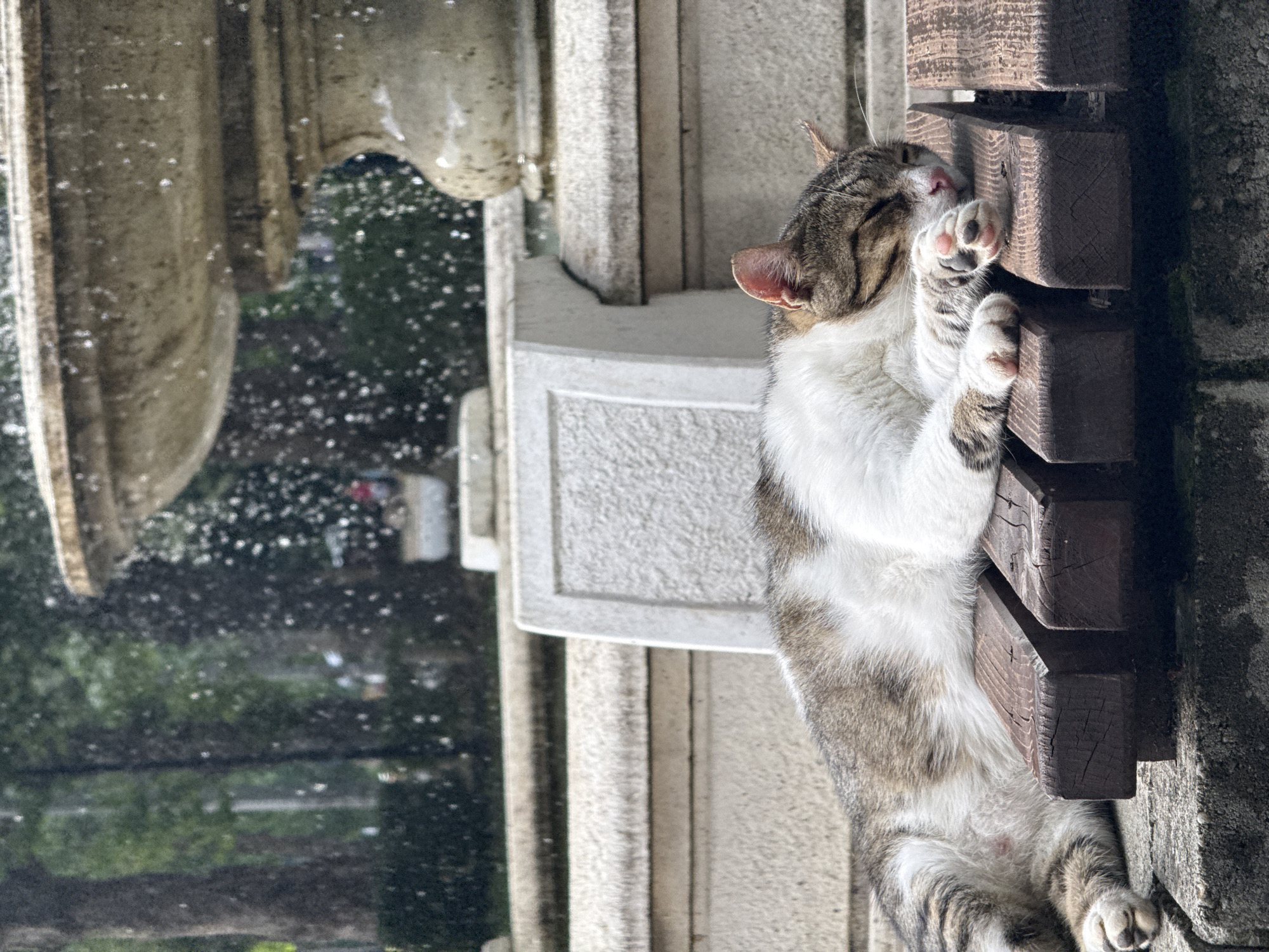 The image shows a tabby and white cat sleeping peacefully on a wooden bench. The bench is made of dark, weathered wood planks and rests on a concrete base. The cat is curled up on its side, with its head resting on its paws. Its eyes are closed, and it appears to be in a deep sleep.
In the background, there is a large stone fountain with water spraying from it, creating a misty effect. The fountain is ornate and appears to be made of light-colored stone. Behind the fountain, there are trees and lush green foliage, suggesting a park or garden setting. The overall atmosphere is serene and tranquil, despite the presence of the water and the implied activity of the fountain. The lighting suggests it is daytime, possibly overcast given the soft shadows.
The cat's fur is a mix of brown and grey tabby stripes with patches of white on its chest and belly. Its paws are white and pink. The scene appears to be outdoors in a public space.
While the prompt asks for the location in the city of Shumen, Bulgaria, there are no visual cues within the image itself that definitively identify it as such. The description is based solely on the visual elements present in the photograph.