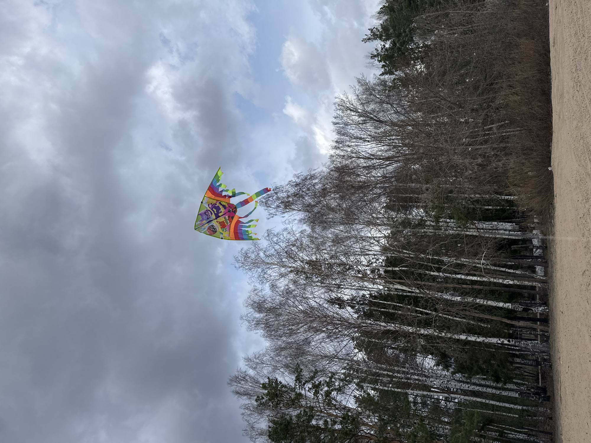 A kite flies in the sky near a forest. The kite has multiple colors, including green, yellow, orange, and blue. Some trees are deciduous with white bark, while others are evergreen with dark green needles. The sky is overcast with light gray clouds in the upper portion of the sky. There is a sandy dirt path or road on the right edge of the image. The location is Chaikovsky, Russia. There are no people visible in the image.