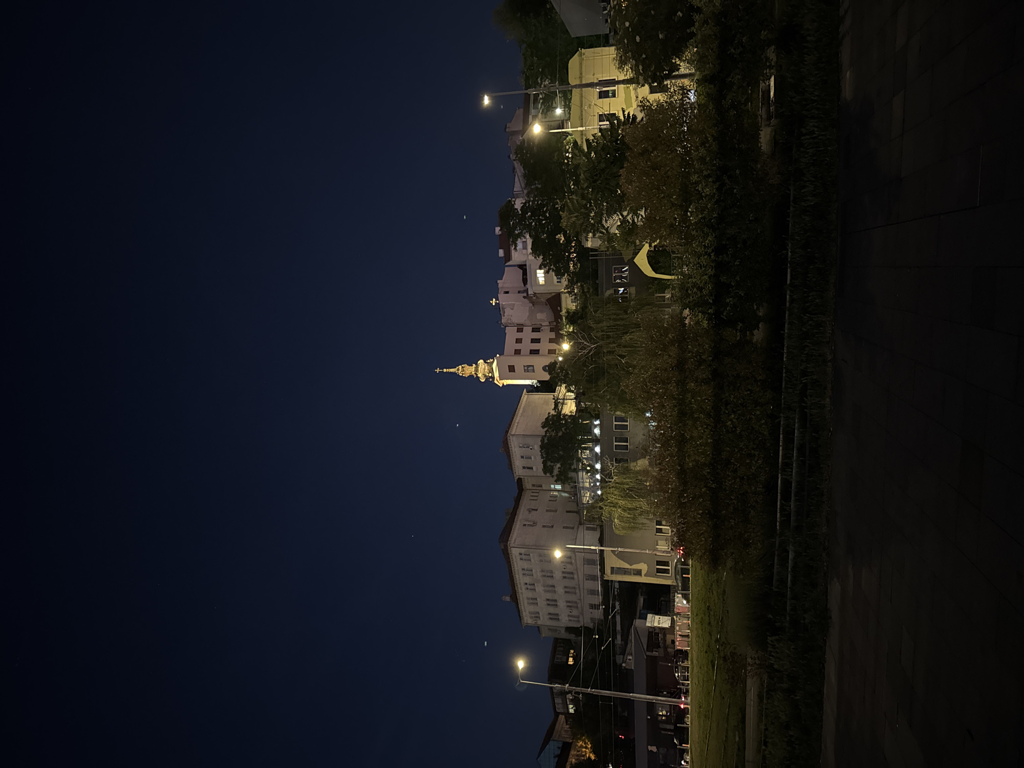 This nighttime photograph shows a cityscape in Belgrade, Serbia. The view includes the illuminated spire of the Church of Saint Alexander Nevsky, visible against the dark sky. Several multi-story buildings line the street, lit by streetlights. Trees and greenery border the sidewalk on the right side of the image. The sky is a deep, dark blue. The foreground features a dimly lit sidewalk or pavement.