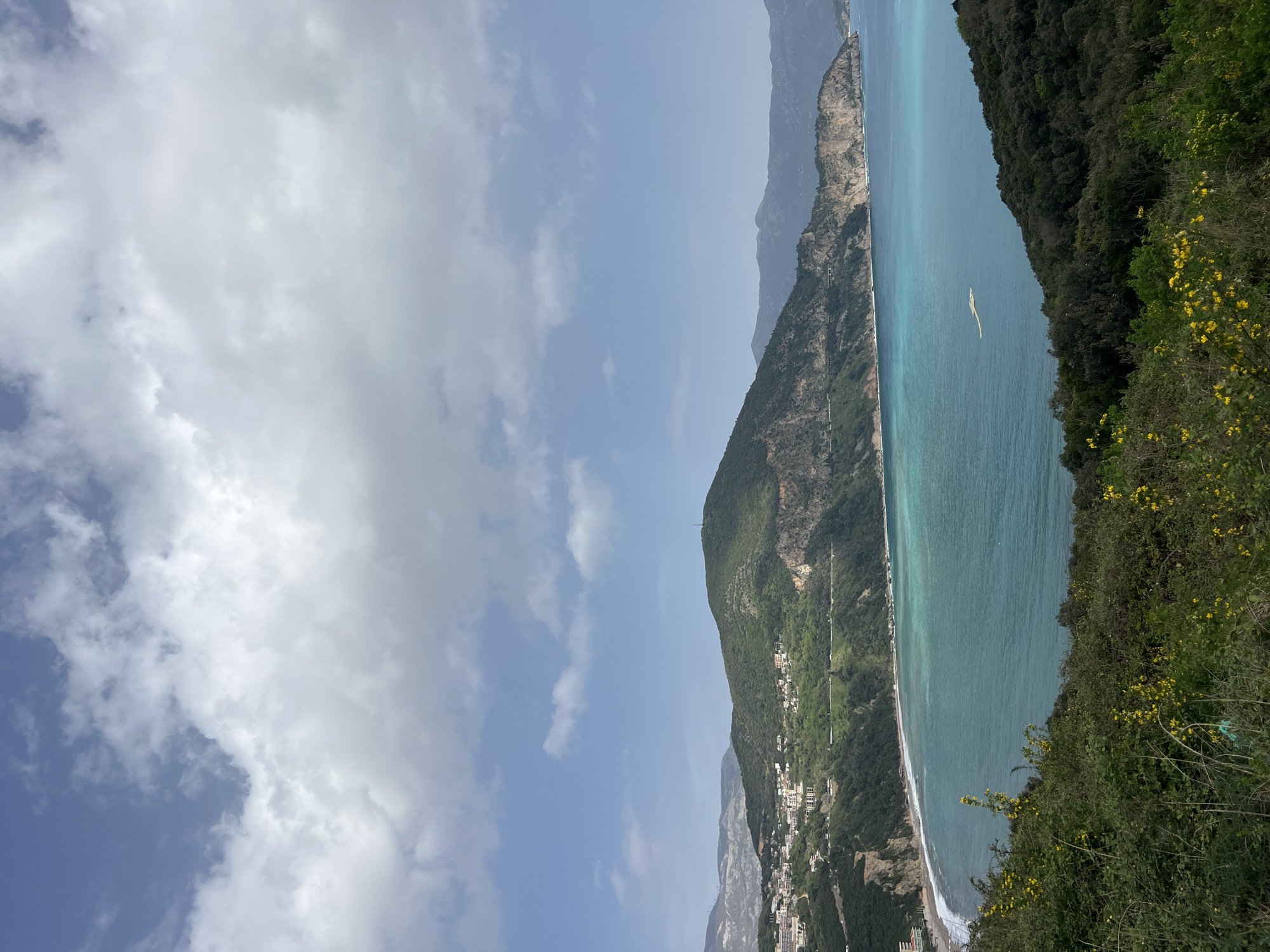 The image depicts a coastal scene in Visnjeva, Montenegro. The turquoise sea stretches along a narrow beach at the base of a steep, green mountain. The mountain slopes are partially developed with small buildings and a road. Further inland, a ridge of mountains fades into the distance. The sky is partly cloudy with white clouds scattered across a pale blue background. In the foreground, some foliage and yellow flowers grow on a steep bank. A single white boat is on the sea.