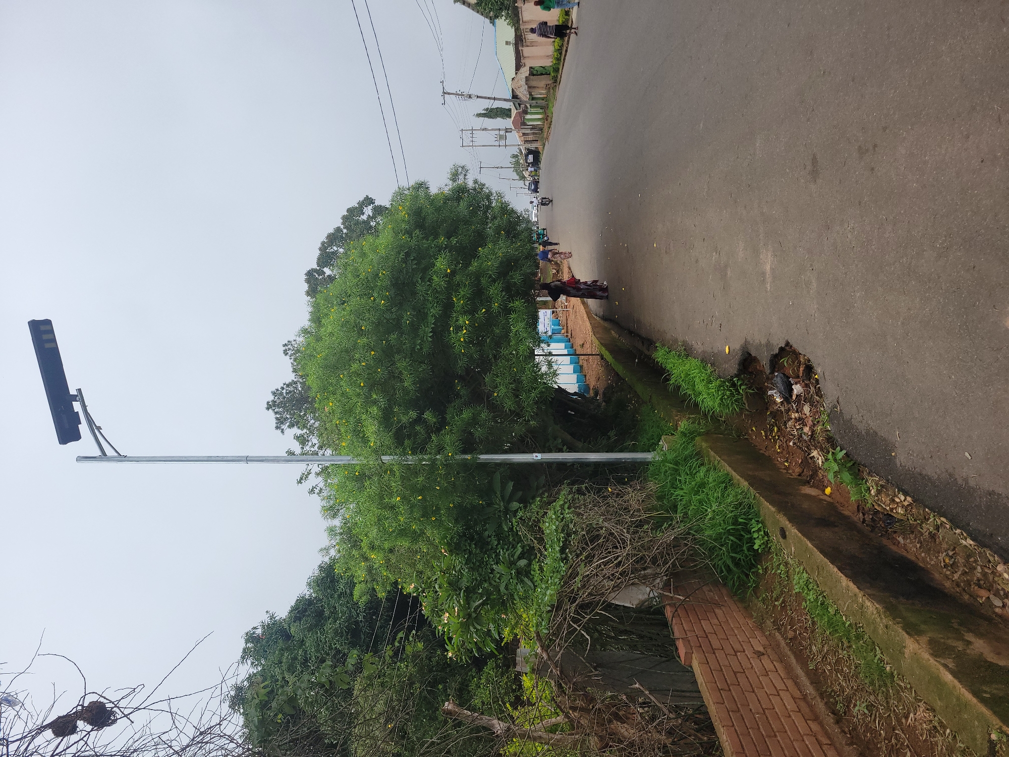The image depicts a street scene in a city under an overcast sky. A solar-powered street light stands tall on the left side of the asphalt road. Adjacent to the road is a concrete drainage ditch with overgrown grass and scattered debris, bordered by a brick wall. Lush green trees, some with yellow flowers, line the left side of the street, with dense foliage creating a natural boundary. On the right side of the road, buildings with various roofing materials are visible, suggesting a residential or mixed-use area. Several people are present, walking along the sidewalk and on the road. A person is riding a motorcycle in the distance, and a few vehicles are parked or moving on the street. Power lines and utility poles are also present, running parallel to the road. The overall environment suggests a moderately populated urban area with natural elements integrated into the cityscape.