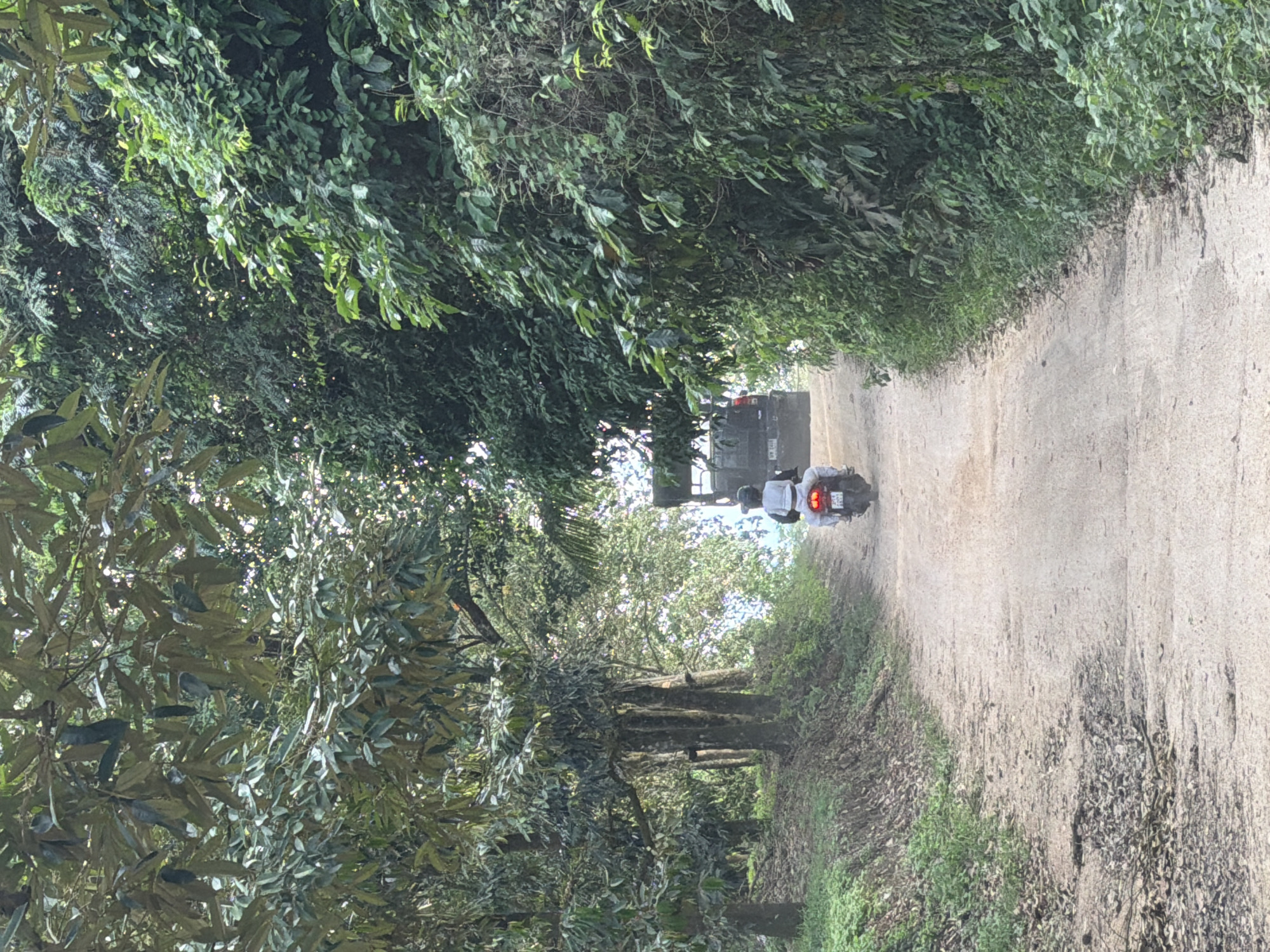 This is a media file showing a dirt road winding through a lush, green landscape with dense foliage lining both sides. The road appears to be somewhat uneven and dusty, with vegetation growing along its edges. In the distance, a dark-colored vehicle is visible, possibly a truck or van. Closer to the viewer and slightly to the right of the frame, a person is riding a motorcycle. The rider is wearing a white top and dark bottoms, and the motorcycle has a red taillight illuminated. The trees and plants suggest a tropical or subtropical environment. The lighting indicates it is daytime, with dappled sunlight filtering through the leaves, creating shadows on the road. The overall scene conveys a sense of rural travel or exploration in a natural setting. There is no visible text in the media file.