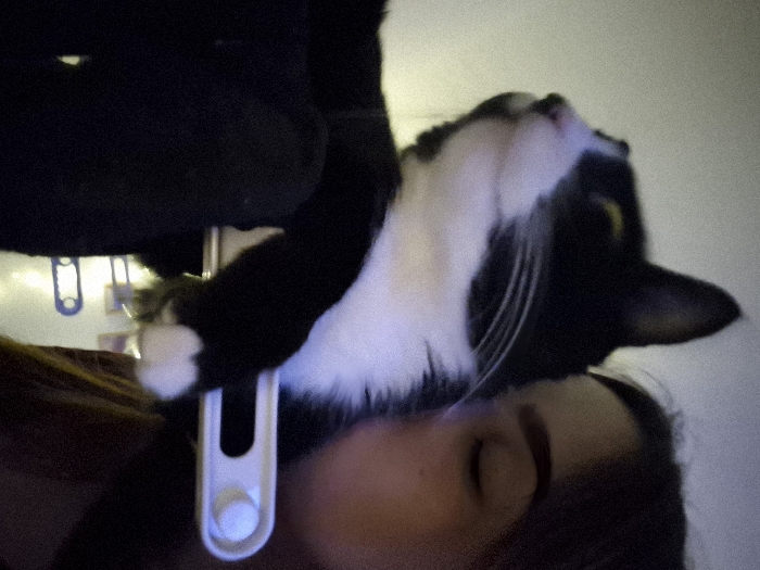 A black and white cat is perched above a person's face. The cat's white chest and whiskers are visible, and it has one yellow eye showing. The person's eye is closed, and they have dark eyebrows. In the background, there are white plastic hangers hanging from a dark object. The overall lighting in the image is dim.