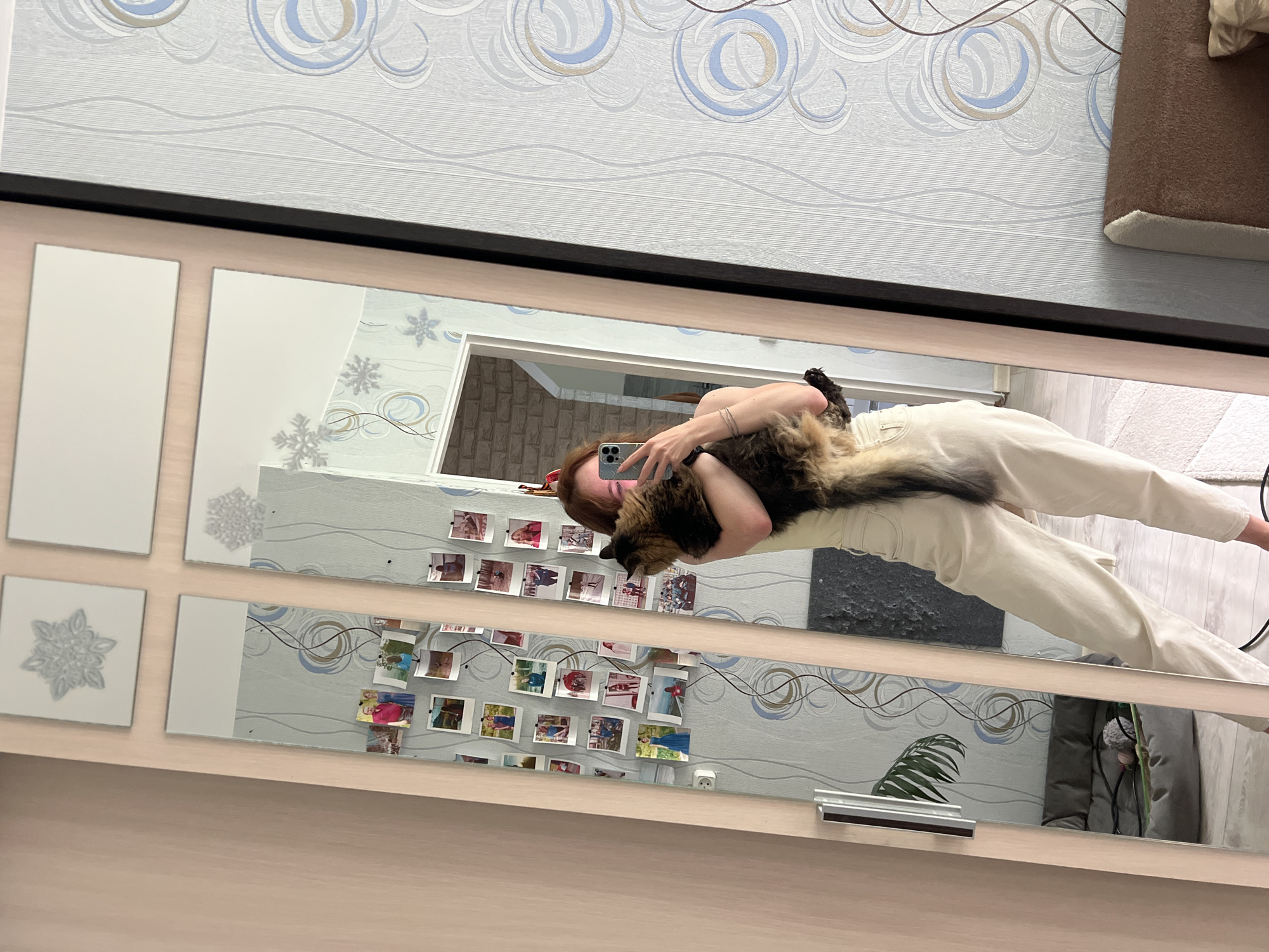 This image, taken in Chaikovsky, Russia, shows a person taking a mirror selfie while holding a cat. The photograph is rotated, presenting the ceiling wallpaper on the left and the floor on the right.
In the reflection, a young woman with reddish-brown hair is featured, holding a large, fluffy, long-haired cat with a multi-toned brown, black, and tan coat. She is wearing light-colored attire, possibly cream or white. Her right hand holds a modern smartphone with a multi-lens camera, pointed towards the mirror to capture the shot. The cat is cradled against her chest.
The wall behind the reflection is adorned with a light-colored wallpaper featuring swirling patterns in blue, grey, and beige. Numerous small, square photographs, resembling instant prints, are taped to the wall in a gallery arrangement. Several snowflake decorations are visible on the wall and attached to parts of the mirror frame. A white electrical outlet is also on the wall. Below the photo arrangement, a dark, textured rectangular panel or artwork is mounted. Near the bottom right of the mirror, a green, fern-like plant in a pot and a microphone on a stand are reflected.
The mirror has a dark frame. Outside the reflection, the same wallpaper pattern extends to the ceiling. A corner of a brown upholstered furniture piece with light trim is visible at the top right of the original image. The visible floor appears to be a light-colored wood or laminate. The setting suggests a cozy, personal indoor environment. No legible text is visible in the image.