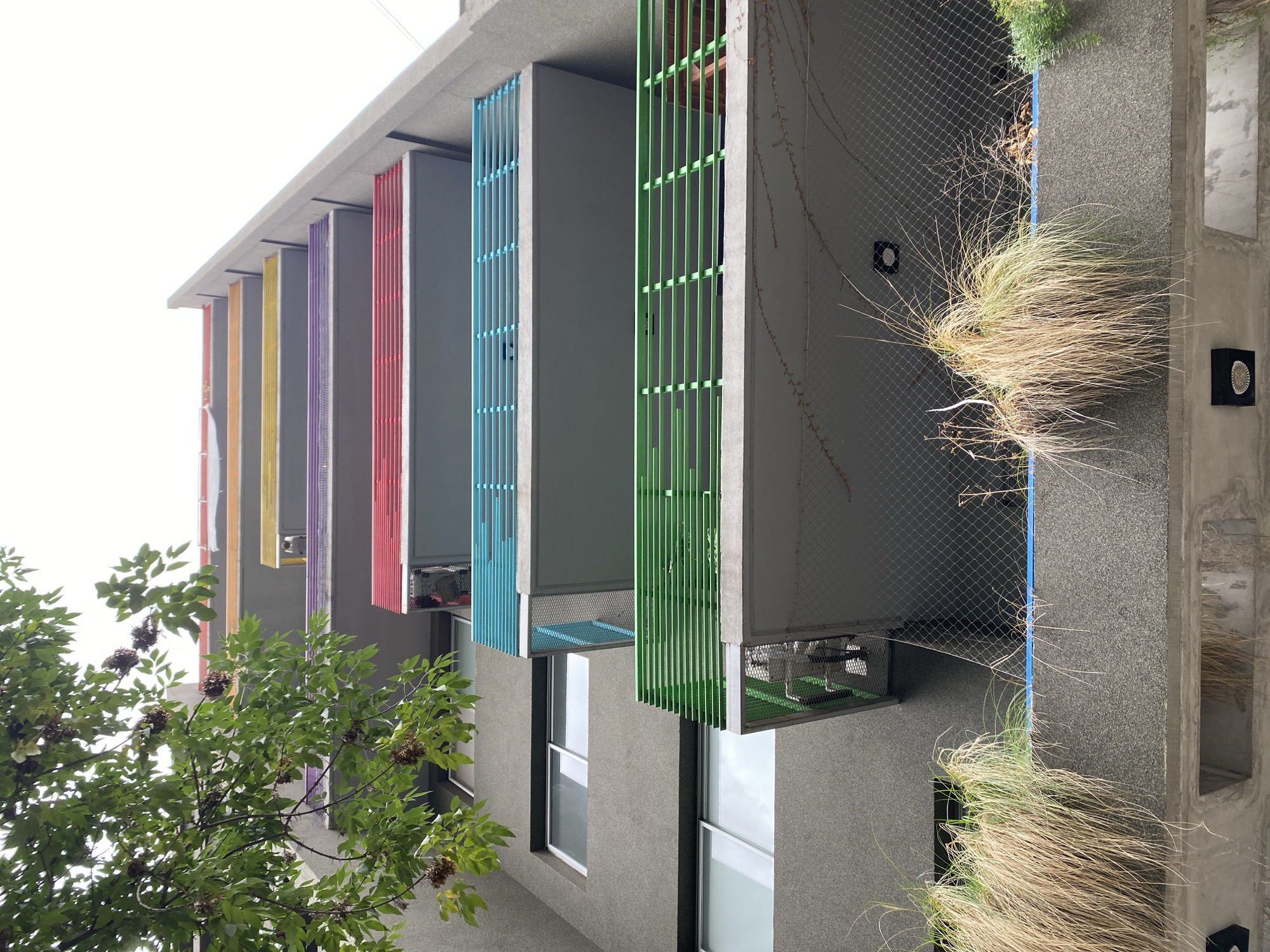 This image presents a low-angle view of a multi-story building facade in Buenos Aires, Argentina, under an overcast sky. The building features a textured, dark grey concrete exterior with horizontally elongated rectangular windows with light frames on each floor. A series of cantilevered balconies with horizontal slatted railings extends from the facade, each painted a distinct, bright color. From top to bottom, these visible balcony railings are red, purple, yellow, orange, blue, and green, suggesting a rainbow-like progression.
A large tree branch with vibrant green leaves and clusters of brown seed pods partially obscures the upper left portion of the building. The lower balconies are equipped with additional fine-mesh netting suspended beneath them, possibly for safety or animal deterrent. On the lowest visible balcony, and the one directly above it, substantial clumps of tall, dried, light-brown ornamental grasses grow, interspersed with some greener foliage. Faint vine-like growths are also visible adhering to the concrete surfaces.
Small, dark, indistinct shapes are faintly visible behind the red and yellow balcony railings, suggesting interior elements or distant figures. On the green-railed balcony, a light-colored object, possibly furniture, is visible along with a dark, indistinct shape nearby. A blue pipe or conduit runs along the underside edge of the lowest balcony. Recessed black light fixtures are present on the undersides of the lowest two visible balconies. No active human interactions or clear figures are discernible.