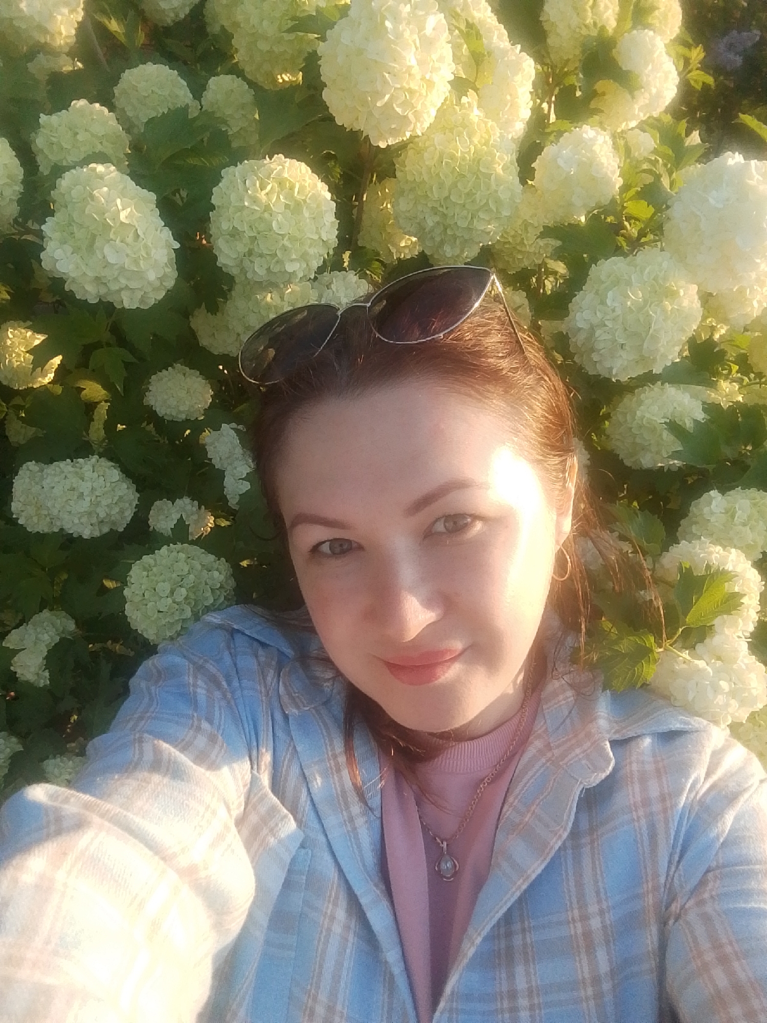 A woman is posing for a selfie. She is wearing a pink top and a blue and white plaid shirt. Sunglasses are on top of her head, and she is wearing a necklace. The background is filled with white snowball flowers. The location is Прикамский, Russia.