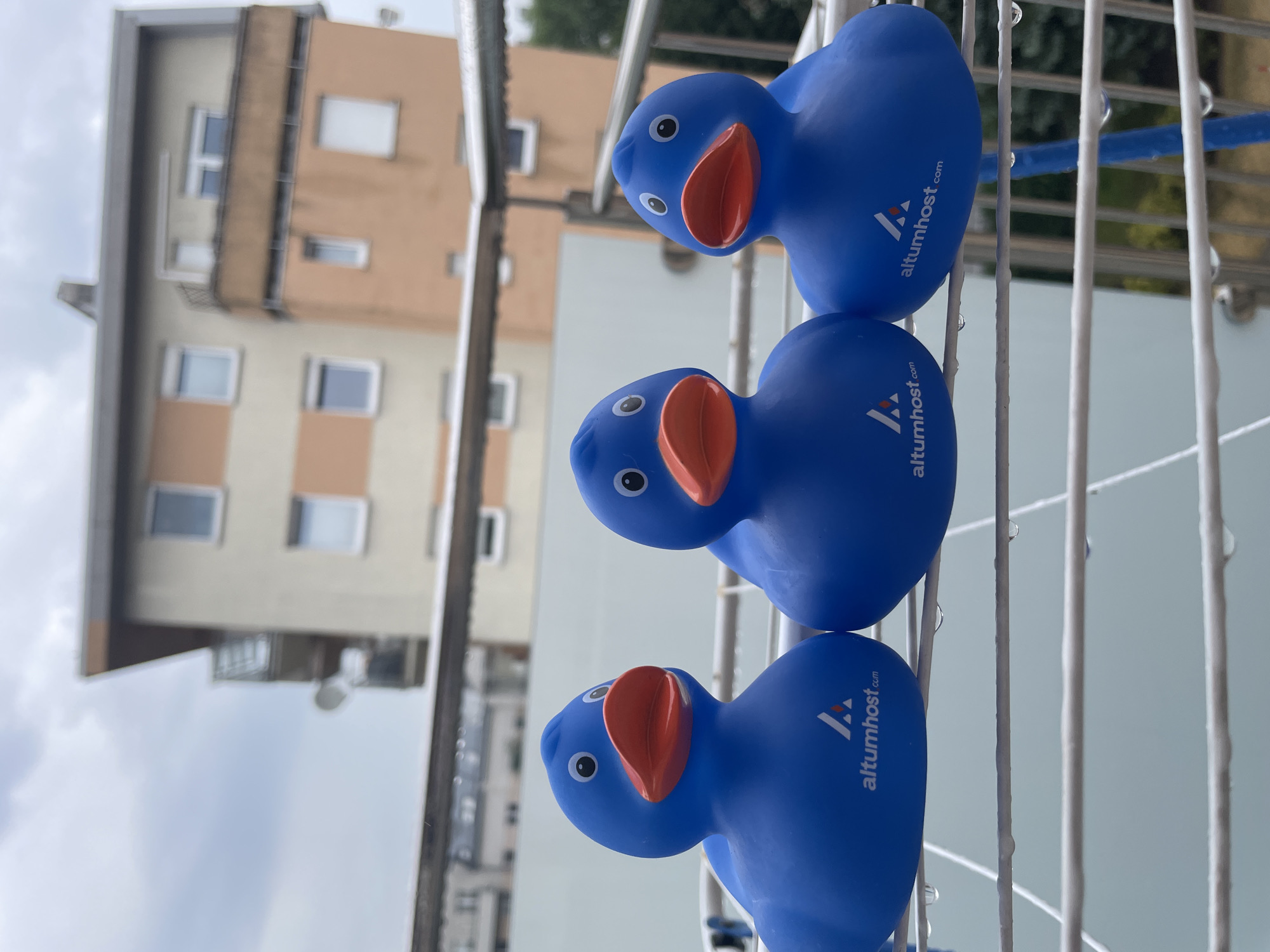 Three blue rubber ducks with orange beaks are displayed on a clothes drying rack outdoors. The ducks are positioned side-by-side, facing forward, and each has a logo and text that reads "altumhost.com" on its side. The clothes rack has water droplets on it. In the background, a multi-story building with windows and balconies is visible, with an overcast sky above. The scene appears to be on a balcony or rooftop.