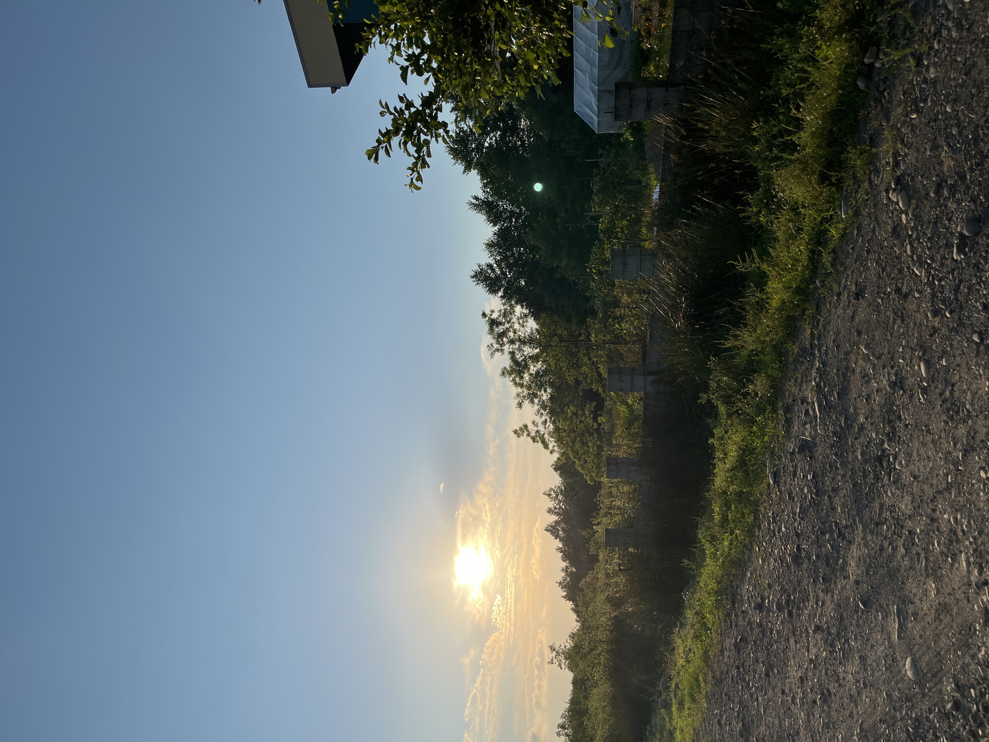 The image depicts a rural or semi-rural scene, likely on the outskirts of Ureki, Georgia, during sunset or sunrise. A dirt road occupies the foreground, with sparse pebbles and some dry vegetation. To the left, a line of low-lying green bushes and taller trees with dense foliage stretches towards the horizon. The sun is visible in the sky, low and bright, casting a warm glow and creating some lens flare. Wispy clouds are present, catching the sunlight.
In the midground, a low, weathered concrete fence with rectangular pillars runs horizontally across the scene. Beyond the fence, a denser line of trees forms a dark green backdrop, with some lighter green foliage visible. A white structure, possibly a small greenhouse or shed with a translucent covering, is visible within this treeline. To the far right, a portion of a modern building with a dark angled roof and a light-colored facade is visible. Lush green leaves from a tree branch hang into the frame from the upper right corner. The sky is a clear, pale blue with a gradient towards a warmer, lighter hue near the horizon.