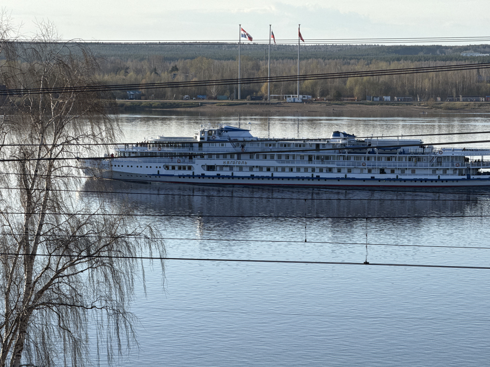 The image captures a scene on the Kama River in Perm, Russia. A large white passenger ship named "Н.В.ГОГОЛЬ" (N.V. Gogol) dominates the view, moving along the river. The river's surface is rippled. In the foreground, a bare tree stands partially obscuring the view of the ship and water. Overhead power lines stretch across the scene, further obstructing the view. On the opposite bank, three flagpoles stand with flags and a strip of land with a thin line of vegetation. In the background, a line of trees and buildings are visible. The sky is overcast, suggesting a cool, early spring day.