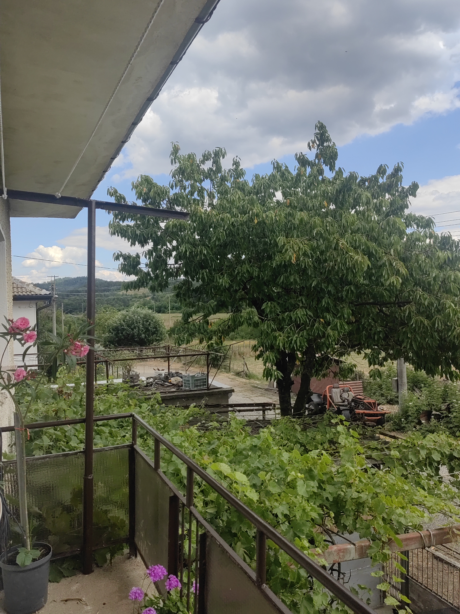 This image depicts a view from a balcony in the village of Djerovo, Bulgaria. The foreground features a metal railing with some reflective panels. To the left, pink flowers in bloom are visible next to a potted plant. Green vines drape across the balcony. In the middle ground, a large tree with dense green foliage dominates the scene, with an orange farming machine partially visible beneath it. Beyond the tree, rolling green hills and scattered buildings can be seen under a partly cloudy sky.