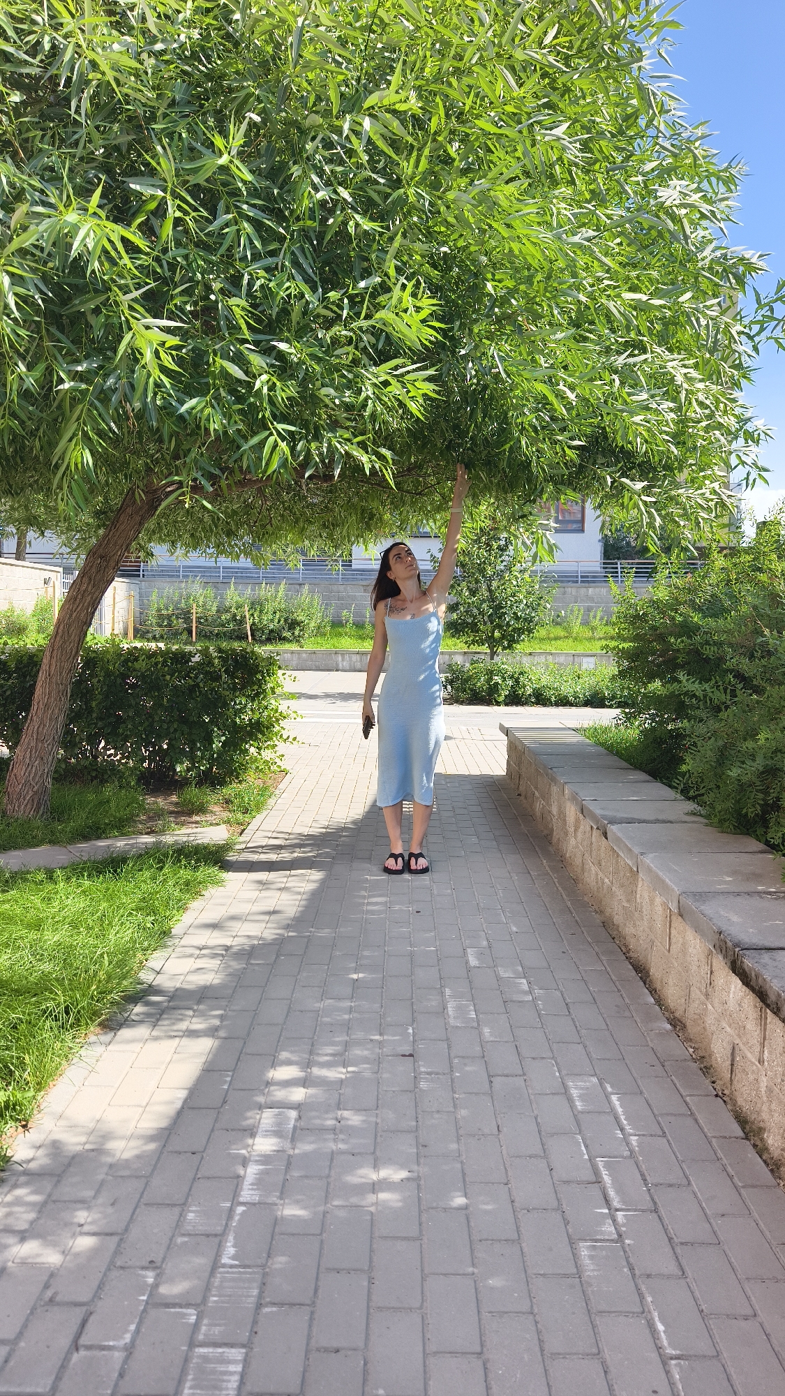 A young woman stands on a paved walkway under a tree with green leaves, reaching up towards its branches. She is wearing a light blue, sleeveless dress and black sandals. She is holding a dark object in her left hand. The walkway is bordered by green grass on the left and a stone wall on the right. In the background, there are more trees and a building. The sky is blue with some clouds. This scene is likely in Tyumen, Russia, given the context.