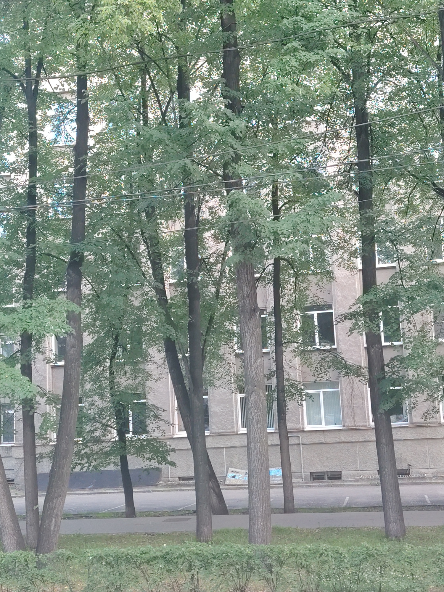 This media file captures a view of a building partially obscured by trees and electrical wires. The building appears to be a multi-story structure with numerous windows, some of which are white-framed and others with dark panes. The facade is a neutral, light gray color, and there are visible architectural details like vertical lines. In front of the building, a street or paved area is visible, with what looks like parking spaces marked. A low, green hedge runs across the foreground of the image.
The trees in the foreground are tall and mature, with dense green foliage, suggesting it is likely daytime during a warmer season. The leaves are a light green, and the trees are casting shadows, though the overall lighting is somewhat diffused, hinting at overcast or slightly cloudy weather. Electrical wires are strung horizontally across the frame, intersecting the view of the trees and the building.
There are no people or explicit activities depicted. The scene is static and presents a common urban or suburban setting. Some graffiti or markings are visible on the lower part of the building wall to the left. The overall impression is one of an ordinary day in a residential or institutional area. No specific time of day is strongly indicated beyond it being daylight, and no discernible emotions are conveyed. The location context places this scene in Yekaterinburg, Russia.