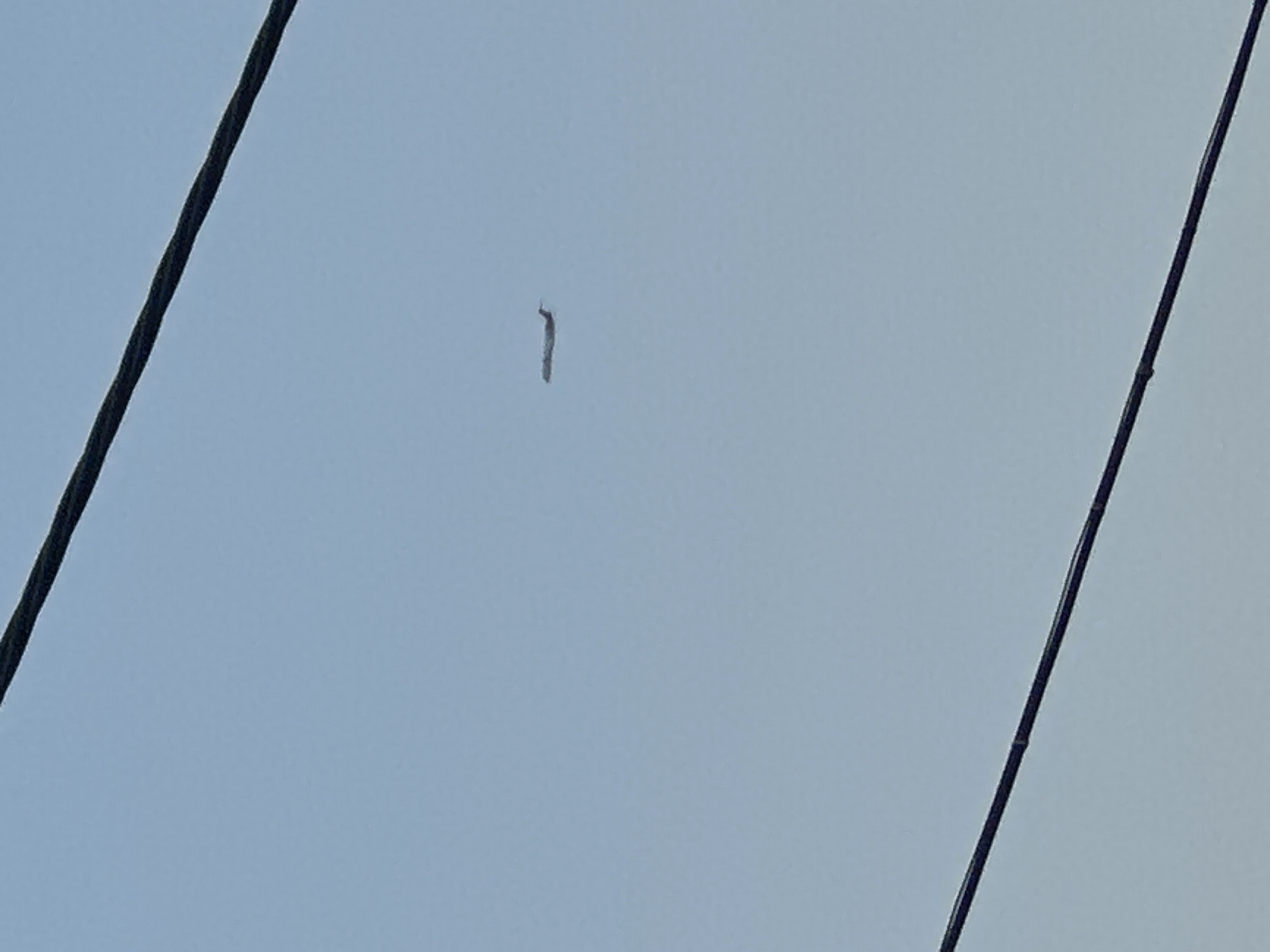 The image captures a section of a clear, light blue sky, with two thick, dark power lines bisecting the frame from the left and right edges, respectively. One power line runs diagonally from the bottom left to the top left, and another runs from the bottom right to the top right. In the center of the frame, a thin, vertical, gray object is suspended between these power lines. This object appears to be a small insect, possibly a caterpillar, hanging by a silken thread. The overall scene suggests an outdoor setting on a bright, clear day, likely in Benimàmet-beniferri, Spain. The time of day is indeterminate, but the lighting suggests it is daytime. There is no visible text in the image.