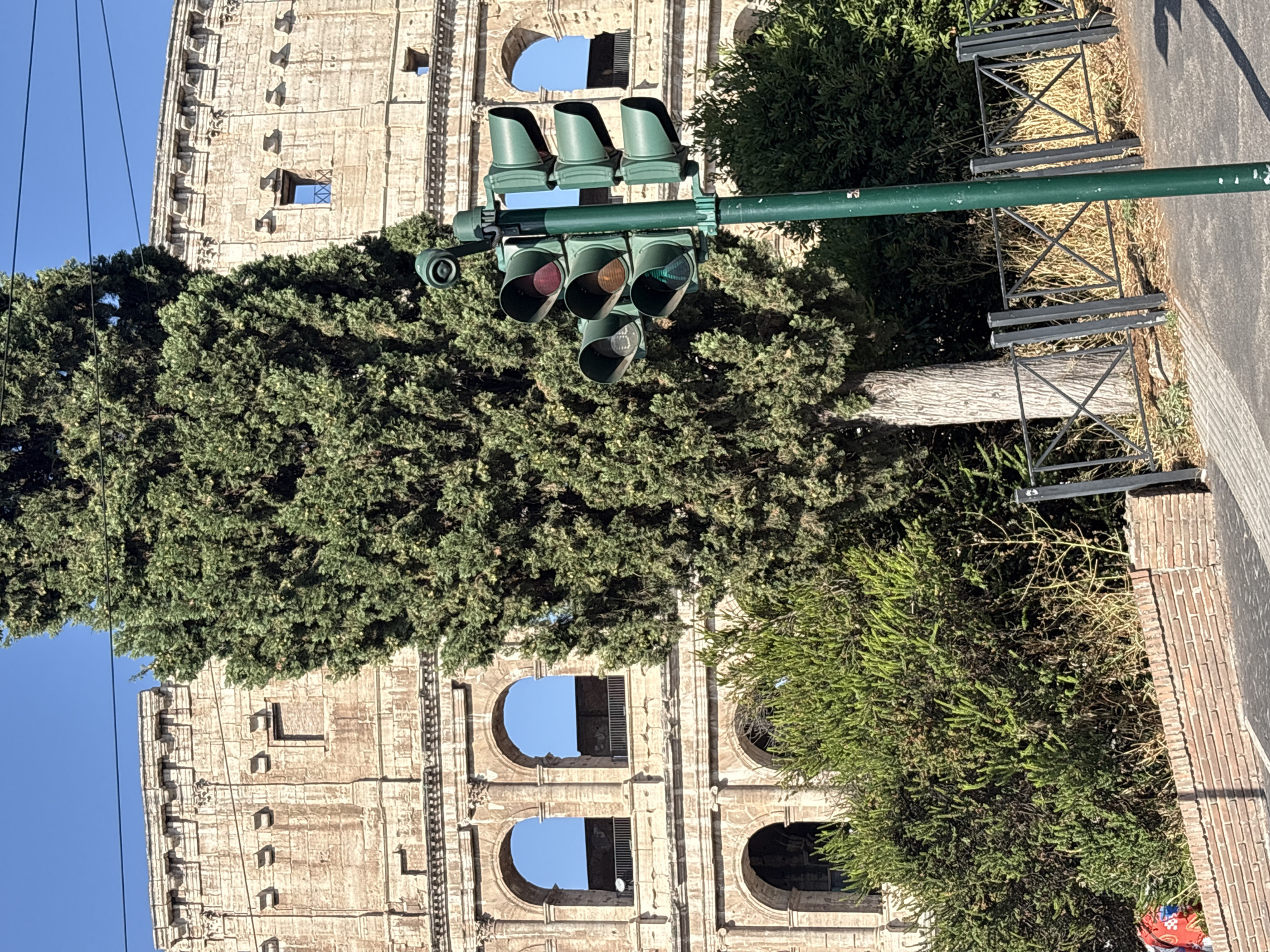 The image shows the Colosseum in Rome, Italy, on a clear, sunny day. In the foreground, a green traffic light pole with several lights is visible. Behind the traffic light, a large evergreen tree stands tall, obscuring a portion of the Colosseum's ancient stone structure. The Colosseum's arched facade and stone construction are clearly discernible, with the blue sky visible through its openings. Lush green bushes and a brick wall line the foreground, with a metal fence separating the vegetation from the street. The scene depicts a typical urban environment where ancient landmarks coexist with modern infrastructure.