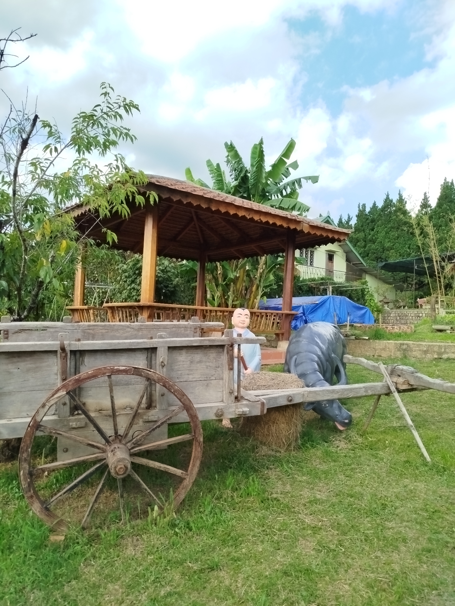 The image shows a rustic wooden cart with a large wheel on the left side, positioned on a grassy lawn. A statue of a smiling figure in light blue clothing stands in the cart, next to a statue of a dark gray water buffalo that appears to be feeding from hay. Behind the cart is a wooden gazebo with a brown roof. Beyond the gazebo, there are banana trees and evergreen trees, and a building with a green roof can be seen in the background, partly covered by a blue tarp. The sky is partly cloudy. This scene is located in Da Lat, Vietnam.
