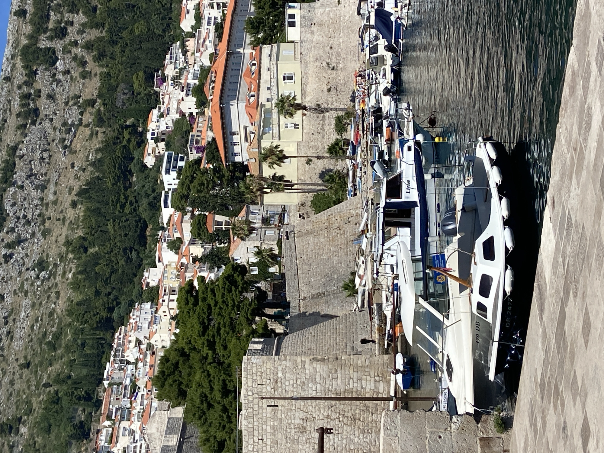 This image captures a view of the Old Port in Dubrovnik, Croatia, looking towards the city walls and the hillside dotted with houses. In the foreground, several boats are moored in the harbor, with a prominent white and dark blue vessel in the center displaying the registration "470 DB". To its left, a smaller white boat with a dark hull is also visible, marked "DB 2577". Further back, a variety of other boats, including smaller dinghies and a larger cabin cruiser, are docked. The stone walls of Dubrovnik's fortifications dominate the mid-ground, with trees growing along their ramparts. Beyond the walls, a dense collection of buildings with terracotta roofs cascades up the steep hillside, interspersed with cypress trees and rocky outcrops. The water in the harbor is dark and rippled, reflecting the clear blue sky above.