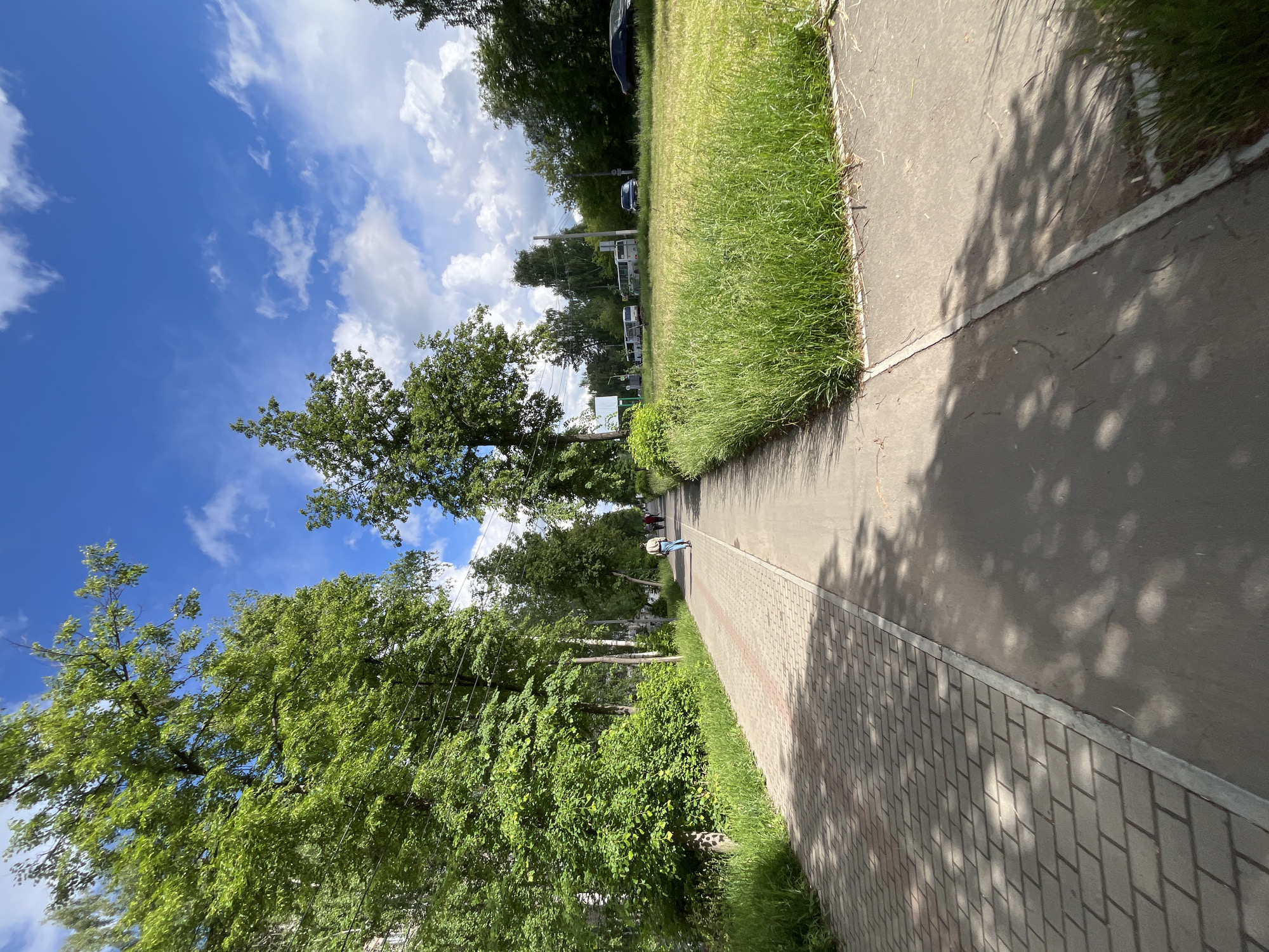 This image captures a bright, sunny daytime scene in Chaikovsky, Russia, featuring a tree-lined pedestrian pathway. The perspective looks down the pathway, which stretches from the foreground into the distance.
The pathway is composed of two distinct sections: an asphalt strip on the left and a wider section of grey paver blocks on the right. Both sections are illuminated by strong sunlight, with pronounced shadows of overhead trees and foliage dappling their surfaces.
Flanking the pathway are vibrant green grassy areas. To the immediate right of the paver blocks, there's a strip of grass leading to lush green bushes and mature deciduous trees. To the left of the asphalt strip, another grassy area gives way to a dense line of trees with full green canopies. Utility poles are visible among the trees on both sides.
In the mid-ground, a single person is seen walking away from the camera along the paved path, dressed in light-colored attire and potentially carrying a backpack. Beyond the extensive foliage in the background, several vehicles, including cars and what appears to be a larger camper or bus, are partially visible, suggesting a nearby road or parking area.
The sky is a clear, brilliant blue adorned with scattered white cumulus clouds, indicating fair and sunny weather. The trees are in full leaf, signifying either spring or summer. The strong shadows confirm the time of day is midday or early afternoon. There is no discernible text within the image.