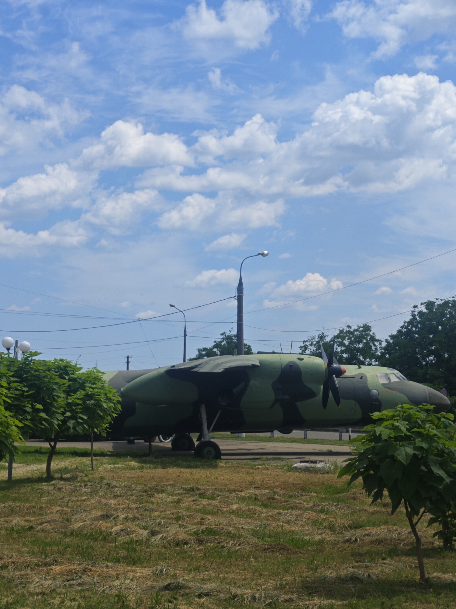 A camouflage-painted airplane is parked on a grassy field under a cloudy blue sky. The airplane, which appears to be a propeller-driven cargo or transport aircraft, is facing right and is positioned in the center of the frame. It is on a concrete surface with its landing gear deployed. Trees with green foliage flank the left and right sides of the airplane. In the background, there are more trees, power lines, and a lamppost. The foreground consists of dry and green grass, indicating a rural or park-like setting. The scene appears to be static with no visible people or ongoing activity. The location is the city of Vyselki, Russia.