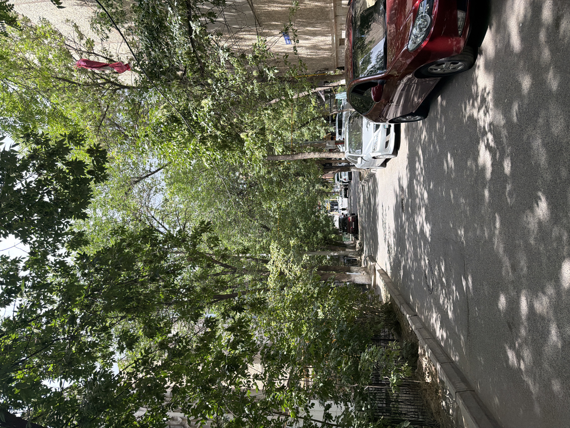 The image depicts a quiet residential street in Shymkent, Kazakhstan, on a sunny day. The street is lined with mature trees that cast dappled shadows on the asphalt road. Several cars are parked along the side of the road, including a red sedan in the foreground and a silver sedan further down the street. Apartment buildings, partially obscured by the foliage, are visible on the right side of the image. A few people can be seen walking in the distance. The overall scene conveys a sense of tranquility and everyday life in a tree-lined urban environment.