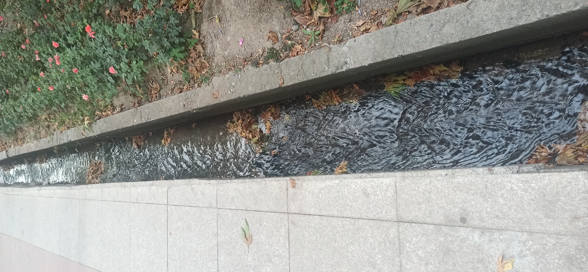 The image shows a narrow, concrete-lined channel filled with dark, flowing water. The channel runs horizontally across the frame, bordered by a sidewalk of light-colored square tiles on the bottom and a grassy area with fallen leaves and some red flowers on the left. The water is disturbed, creating ripples and reflections. Several dry, brown leaves are floating on the surface of the water and along the edges of the channel, suggesting an autumn or late fall setting. The grassy area on the left contains green foliage and several small red flowers, hinting at a garden or park area. The overall scene appears to be outdoors, possibly in a public space like a park or street. There is no visible text in the image. The lighting suggests it is daytime, but the specific time of day or weather conditions cannot be definitively determined. The image is oriented vertically, with the top of the scene appearing on the right side of the frame.