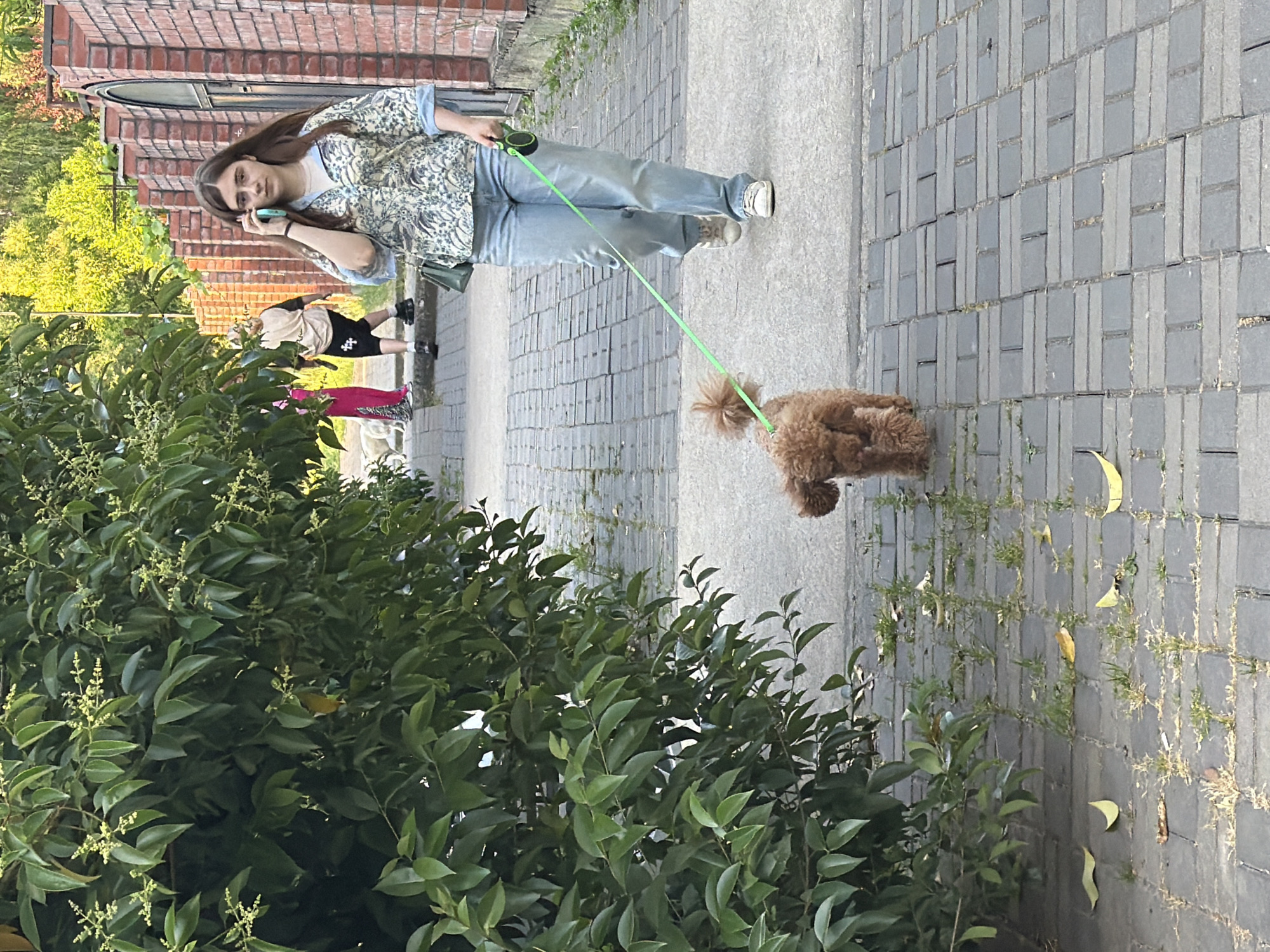 A young woman with long brown hair, wearing a patterned button-down shirt and light blue jeans, is walking a small, brown poodle on a leash. She is holding a cell phone to her right ear. Behind her, a person wearing a beige shirt and black shorts walks, and further back, another person in a bright pink outfit is visible. They are on a paved walkway lined with a brick wall on the right and lush green foliage on the left. The walkway is made of dark gray interlocking pavers. The environment appears to be a street or park in an urban area. There are fallen yellow leaves on the walkway. The background shows a brick building and trees. The lighting suggests it is daytime, likely afternoon.