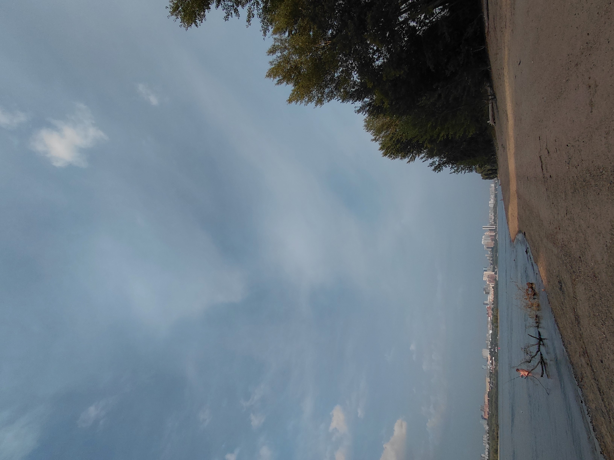 The image depicts a tranquil scene of the Ob River embankment in Novosibirsk, Russia. The sky is a soft blue with scattered white clouds, suggesting an overcast or pre-sunset atmosphere. On the right side of the frame, a dense line of tall trees with dark green foliage borders a sandy beach. The beach occupies the foreground and extends towards the water's edge.
The Ob River stretches across the mid-ground, its surface calm with ripples. In the distance, a sprawling cityscape of Novosibirsk is visible, characterized by numerous buildings, including skyscrapers and residential structures, against the horizon.
On the left side of the river, a few pieces of driftwood are partially submerged in the water near the shore, with one larger piece featuring some red debris attached to it. A lone figure, appearing to be a person, is standing in the river near the driftwood, partially obscured by the branches. The overall impression is one of natural beauty intertwined with urban development.