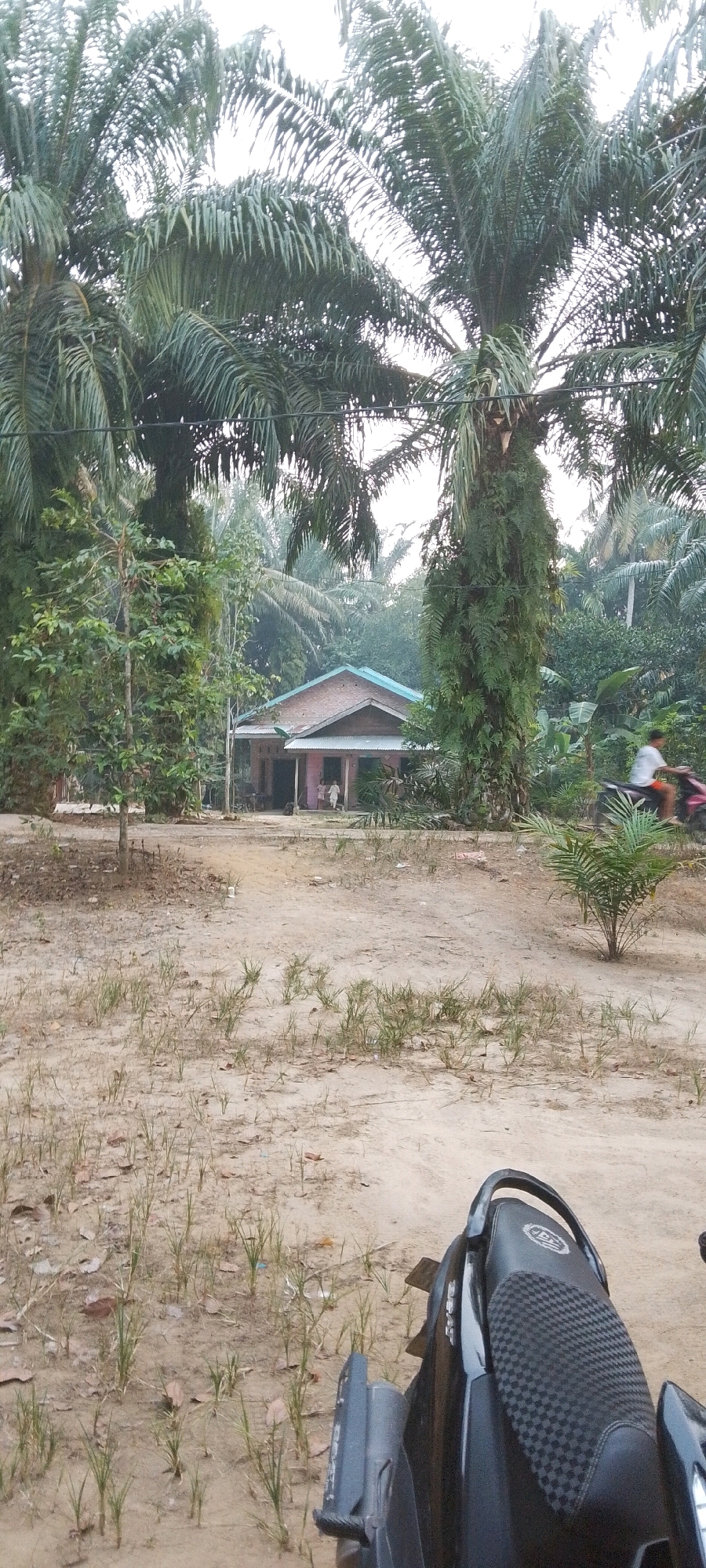 The image depicts a rural scene in Lenggadai Hilir, Indonesia, featuring a small house surrounded by lush palm trees and dense vegetation. In the foreground, the sandy ground is sparsely covered with grass and fallen leaves. A portion of a black motorcycle is visible, suggesting a mode of transportation commonly used in the area. In the mid-ground, the single-story house has a pink facade and a light blue roof. Two figures, appearing to be children or young people, stand near the entrance of the house. Further to the right, a person on a pink motorcycle is captured in motion, contributing to the sense of daily life in this tropical setting. The overall atmosphere is one of a serene, natural environment characteristic of the Indonesian countryside.