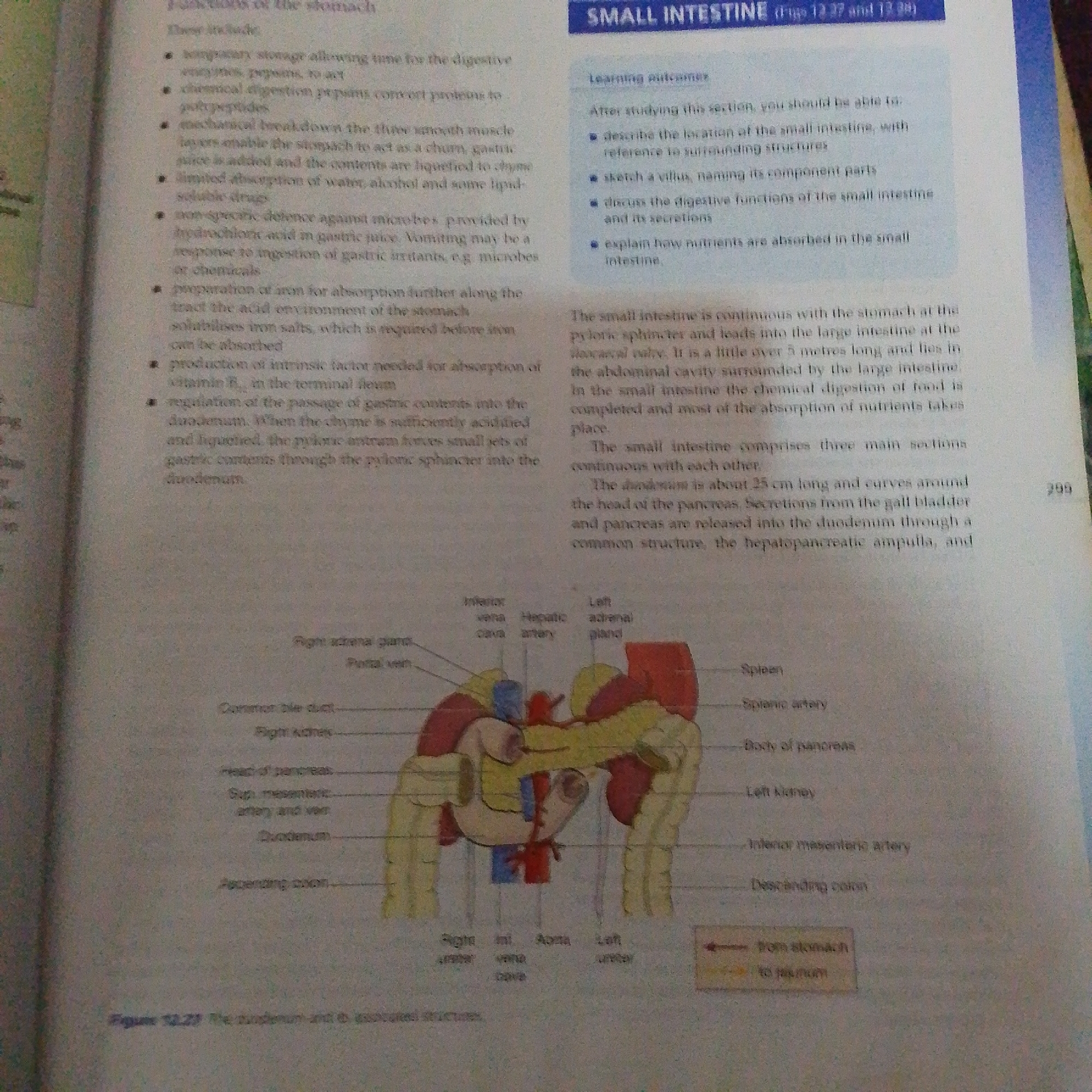 The image is a page from a biology textbook discussing the small intestine and functions of the stomach. It features text and a diagram of the human digestive system, specifically showing the duodenum, pancreas, spleen, and kidneys. There is no information in the image that relates to Jalingo, Nigeria, or any specific geographic location. The content is purely educational and anatomical.
