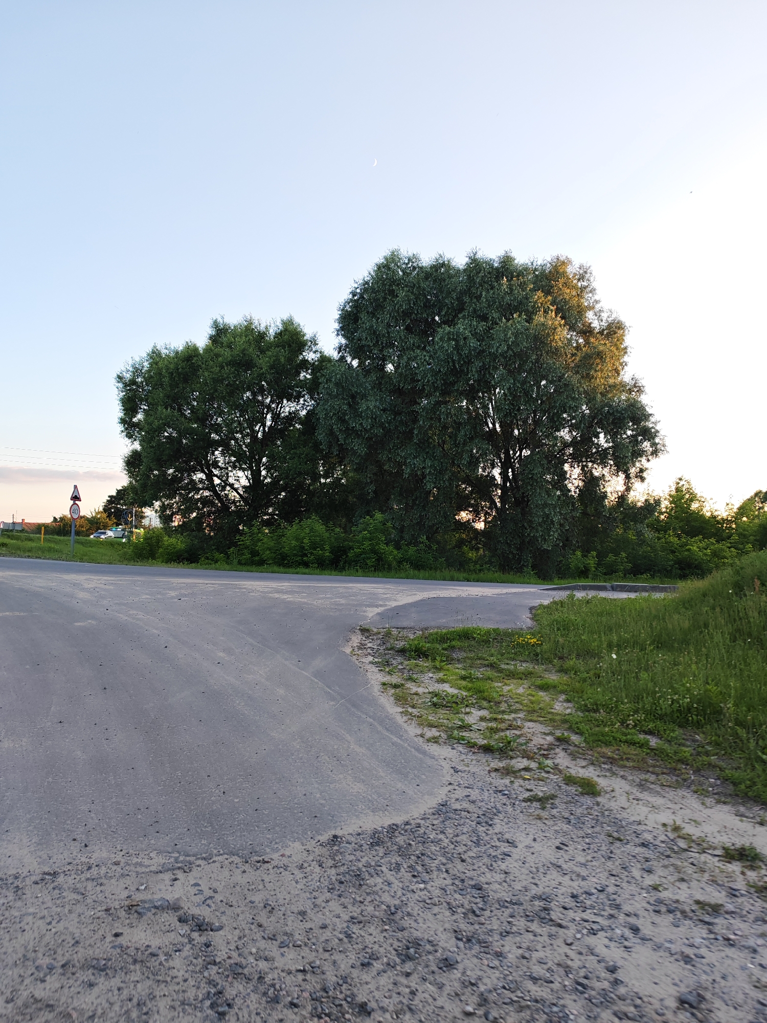 The image depicts a road intersection in the rural area of Chonkaŭski Sel'ski Savet, Belarus, under a clear, pale blue sky with a crescent moon visible. Two large, leafy trees dominate the background, with one illuminated by warm, late afternoon sunlight, casting shadows. In the foreground, the asphalt road curves, transitioning into a gravel and sandy shoulder. To the left, a road sign with red and white markings, possibly indicating a speed limit or warning, is visible. A few white cars are parked or moving on the road in the middle distance. The environment is lush with green vegetation, including grass and smaller trees, flanking the road. The scene suggests a quiet, rural landscape during the golden hour.