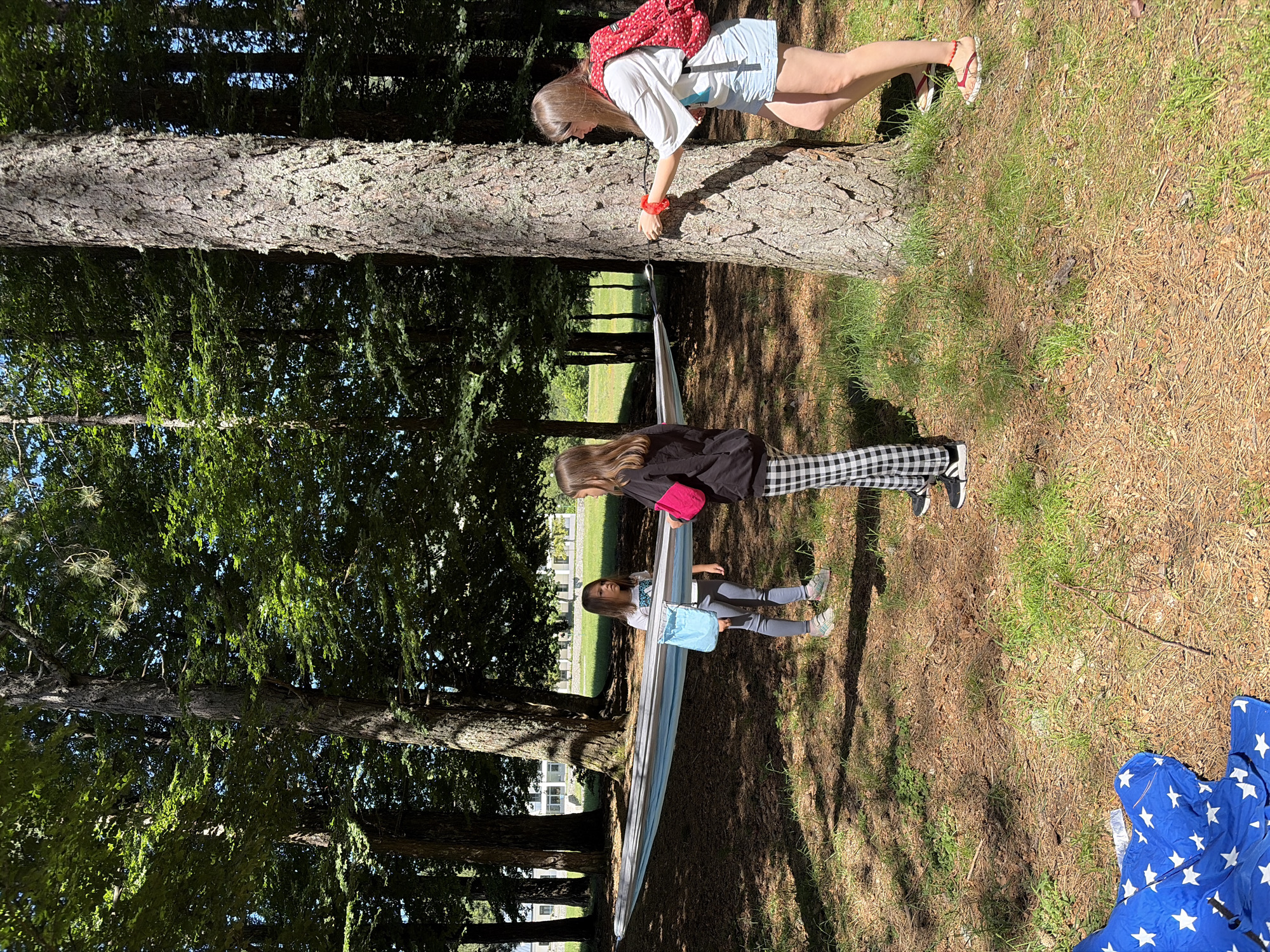 The image depicts three females in a partially wooded area within Dolovi, Montenegro. One female, appearing to be in her late teens, is positioned on the right, wearing a white t-shirt, light blue denim shorts, and red flip-flops, with a red polka-dot backpack. She is actively securing a black strap, which is part of a hammock suspension system, to the trunk of a large tree with her right hand. A red elastic band is on her right wrist.
To the left of the hammock's center stands another female, appearing to be in her early to mid-teens, dressed in a black long-sleeved top, black and white checkered pants, and black sneakers. She holds a bright pink pouch in her left hand and is looking towards a younger female positioned further left. This younger female, appearing pre-teen, wears a white t-shirt with a graphic, grey leggings, and light-colored sneakers. She carries a light blue drawstring bag and is looking towards the female in checkered pants.
A striped hammock, featuring light blue, grey, and white bands, is suspended between two large trees. Its right end is attached to the tree where the eldest female is standing. The ground is covered with a mixture of brown pine needles, fallen leaves, and scattered patches of green grass. Dappled sunlight filters through the tree canopy, casting shadows on the ground. Several large trees with textured bark, some exhibiting lichen growth, are prominent. In the distant background, partially visible through the trees, is a large, light-colored building with multiple windows. A crumpled blue fabric item adorned with white stars lies on the ground in the lower left foreground.