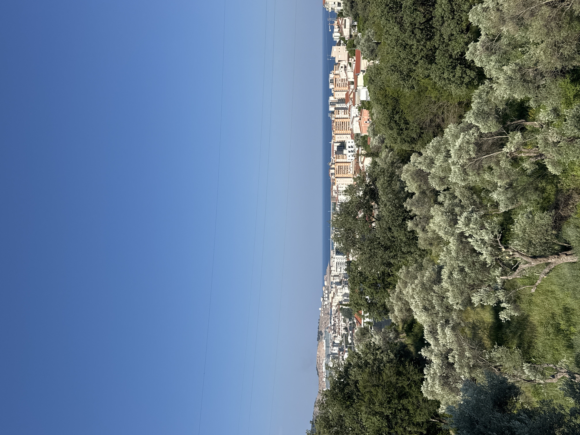 The image depicts a panoramic view of the city of Sustaš, Montenegro, from an elevated vantage point. In the foreground, lush green trees and vegetation, including olive trees with silvery-green foliage, dominate the landscape. As the view recedes, a dense cluster of residential buildings, primarily multi-story apartment blocks with terracotta and white facades, is visible. Beyond the city, the calm blue waters of the sea stretch towards the horizon, meeting a clear, azure sky. A single power line is faintly visible traversing the upper portion of the image. The scene is bathed in bright sunlight, suggesting a clear day. No people or animals are present in the image.