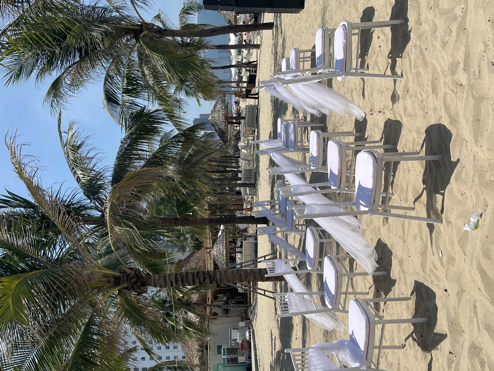 This image captures a beach setting in Đà Nẵng, Vietnam, prepared for an outdoor event under a clear, bright blue sky. The foreground and mid-ground are dominated by neat rows of white chairs, each featuring a white cushion and draped with sheer white fabric, arranged on light-colored sand. These chairs cast long, distinct shadows, indicating a sunny day, likely mid-day or early afternoon.
A line of tall palm trees with green fronds runs along the left side of the frame, some appearing slightly dry. Their fronds and trunks also cast shadows across the sandy ground. In the mid-ground, behind the chairs and palm trees, several thatched-roof structures, possibly huts or cabanas, are visible. Further in the distance, a body of water (the ocean) can be glimpsed, and the horizon reveals distant high-rise buildings and mountains, characteristic of a coastal city. A large black speaker is positioned at the top right, suggesting an audio setup for the event. A few indistinct human figures are sparsely scattered in the background on the beach. The sandy ground shows ripples and subtle variations in texture, with some small white petals or debris scattered near the chairs. The scene evokes a tranquil yet expectant atmosphere, likely for a beach wedding or similar celebratory gathering.