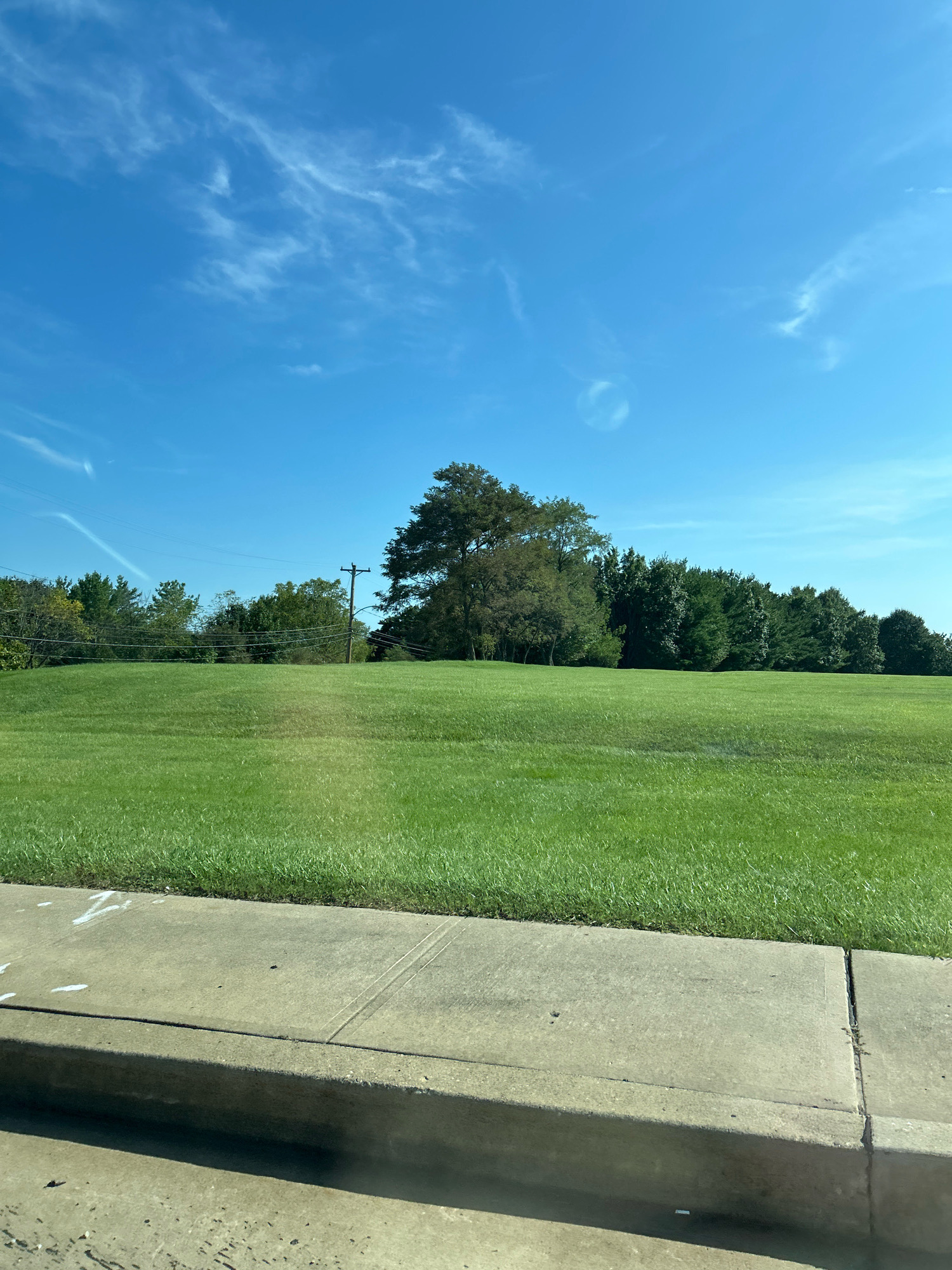 An outdoor, eye-level, full shot captures a bright, clear day with a vibrant blue sky dotted with wispy white clouds. In the foreground, a concrete sidewalk with some white markings is visible, bordered by a neatly manicured, lush green lawn. The lawn slopes gently upwards towards a line of diverse trees in the middle ground, with a prominent, leafy tree standing out against the sky. A telephone pole with wires stretches across the scene behind the lawn and in front of the trees, with another pole to the right. The background consists of a dense line of green trees, suggesting a natural or park-like setting. The overall impression is one of a well-maintained, scenic outdoor area.
