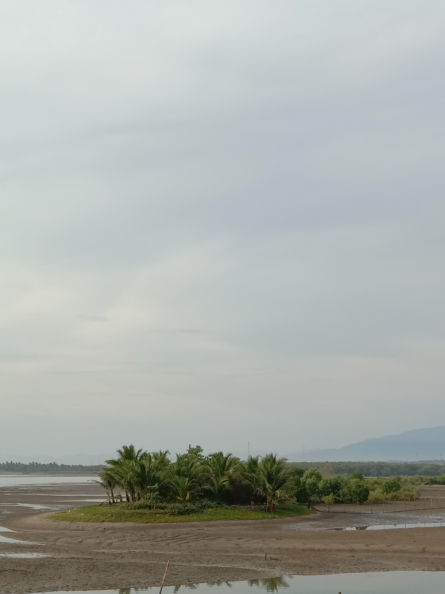 A low-angle, outdoor, eye-level shot shows a muddy landscape with a small island covered in palm trees and other greenery, all under an overcast sky. The location is identified as being in Lhokseumawe, Indonesia.
In the foreground, exposed mudflats dominate, with a few puddles reflecting the dull sky. A small island rises in the center, densely populated with palm trees and various other plants. The island appears to be the focal point of the image.
In the midground, more mudflats extend toward the horizon, interspersed with areas of standing water. Mangrove-like vegetation can be seen growing in some sections.
In the background, distant hills are faintly visible through a haze, adding depth to the scene. Utility poles are faintly visible in the distance, providing a subtle indication of human presence.
The sky is completely overcast, lending a subdued and somewhat muted color palette to the entire scene. The light is soft and diffused, with no harsh shadows.