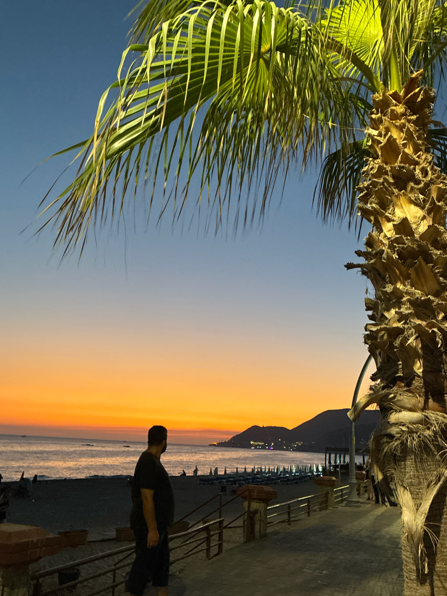 A lone man stands on a paved walkway overlooking a beach and the sea at sunset. The sky displays a gradient of orange and blue, transitioning into dusk. A palm tree with lush green fronds extends from the right side of the frame, partially obscuring the sky and the trunk of another palm tree is visible in the foreground. The beach is lined with closed beach umbrellas, and beyond the water, hills with distant lights are visible. The man is facing away from the camera, looking towards the sea and the sunset. The overall atmosphere is peaceful and serene, suggesting a tranquil evening on the coast of Alanya, Turkey.