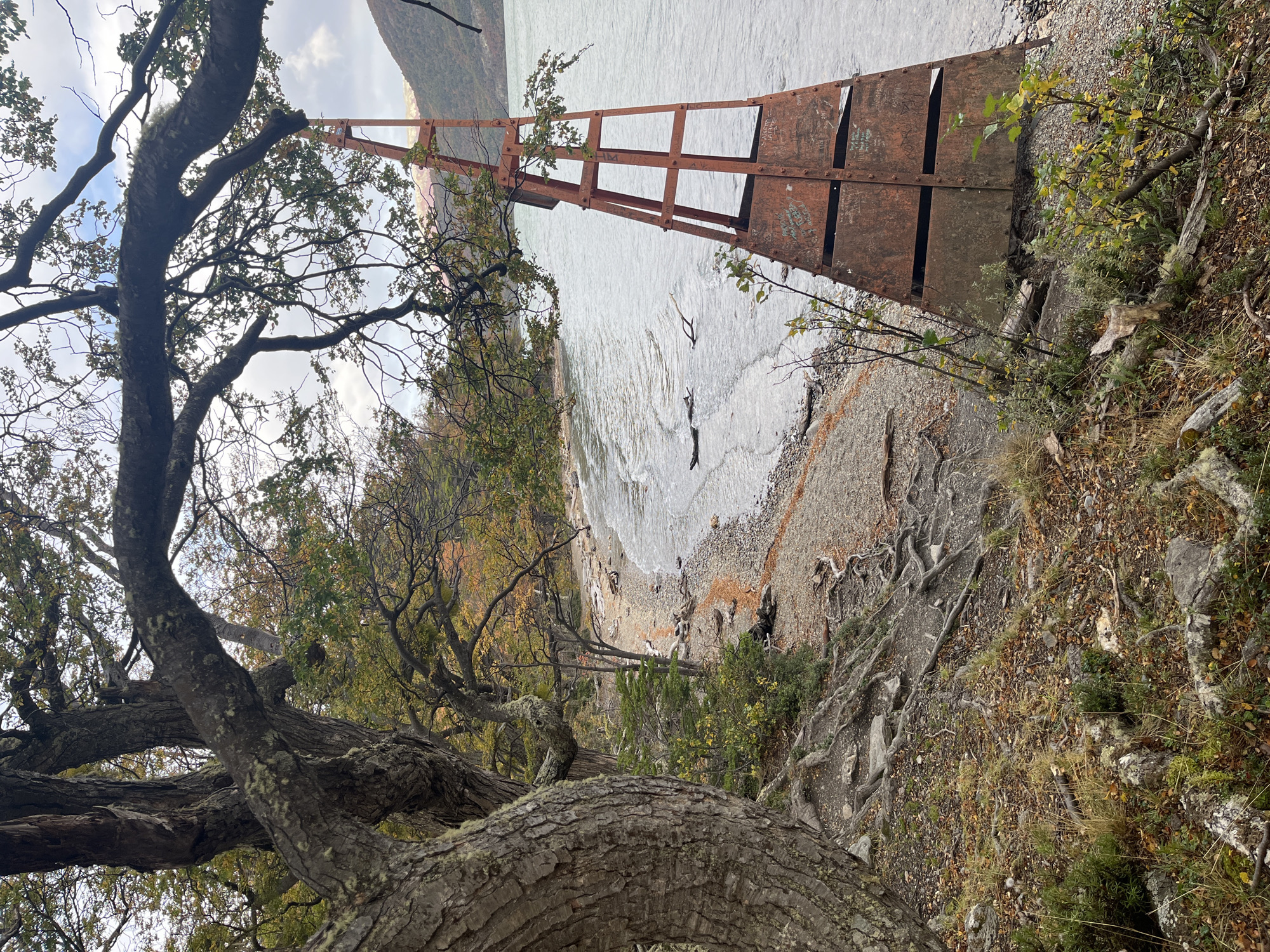 The scene depicts a shore area in Lapataia, Argentina, as viewed from an elevated, partially obscured vantage point among trees. The foreground is dominated by tree branches with visible bark texture and lichen growth. The middle ground presents a shoreline with pebbles transitioning into water. A metal structure, possibly part of a pier or installation, extends from the land into the water. Further along the shore, there are faint, barely discernible figures of people, some near the water's edge. The background shows the lake surface stretching into the distance, with a distant land mass or shoreline barely visible through the atmospheric conditions. The vegetation, particularly on the bank, is mixed, including some with autumnal colors. The overall tone suggests a partially overcast day.