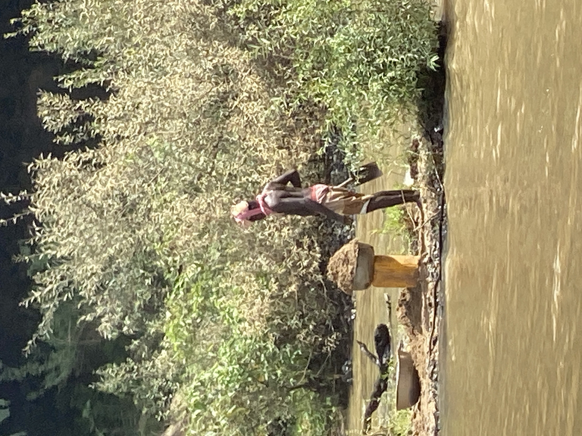 The image captures an outdoor scene in Maigizo, Nigeria, featuring a lone individual by a body of water. The central subject is a dark-skinned person, likely male, standing on the bank. They are bare-chested and wear a light-colored cloth wrapped around their waist, along with a pink or reddish head covering or turban.
The person is holding a long, dark-colored implement, possibly a paddle or a digging tool, with their right hand, oriented downwards towards the water. Their posture suggests they are either working or observing something intently by the water's edge.
The setting consists of a murky, brown-tan body of water, possibly a river or lake, on the right side of the frame, reflecting bright sunlight. The shoreline is uneven, with some dark ground visible. To the left, dense vegetation comprising various green and lighter-colored bushes and trees forms the backdrop, indicating a natural or semi-natural environment.
Notable details include the bright daylight, suggesting a sunny day, likely mid-morning to early afternoon, given the strong illumination. A rustic wooden post, possibly part of a small dock or structure, with a stone resting on its top, is visible near the water's edge between the person and the water. Another dark, undefined object lies on the ground near the post. There is no visible text in the image. The overall scene depicts a person engaged in an activity along a waterway in a lush, vegetated area.