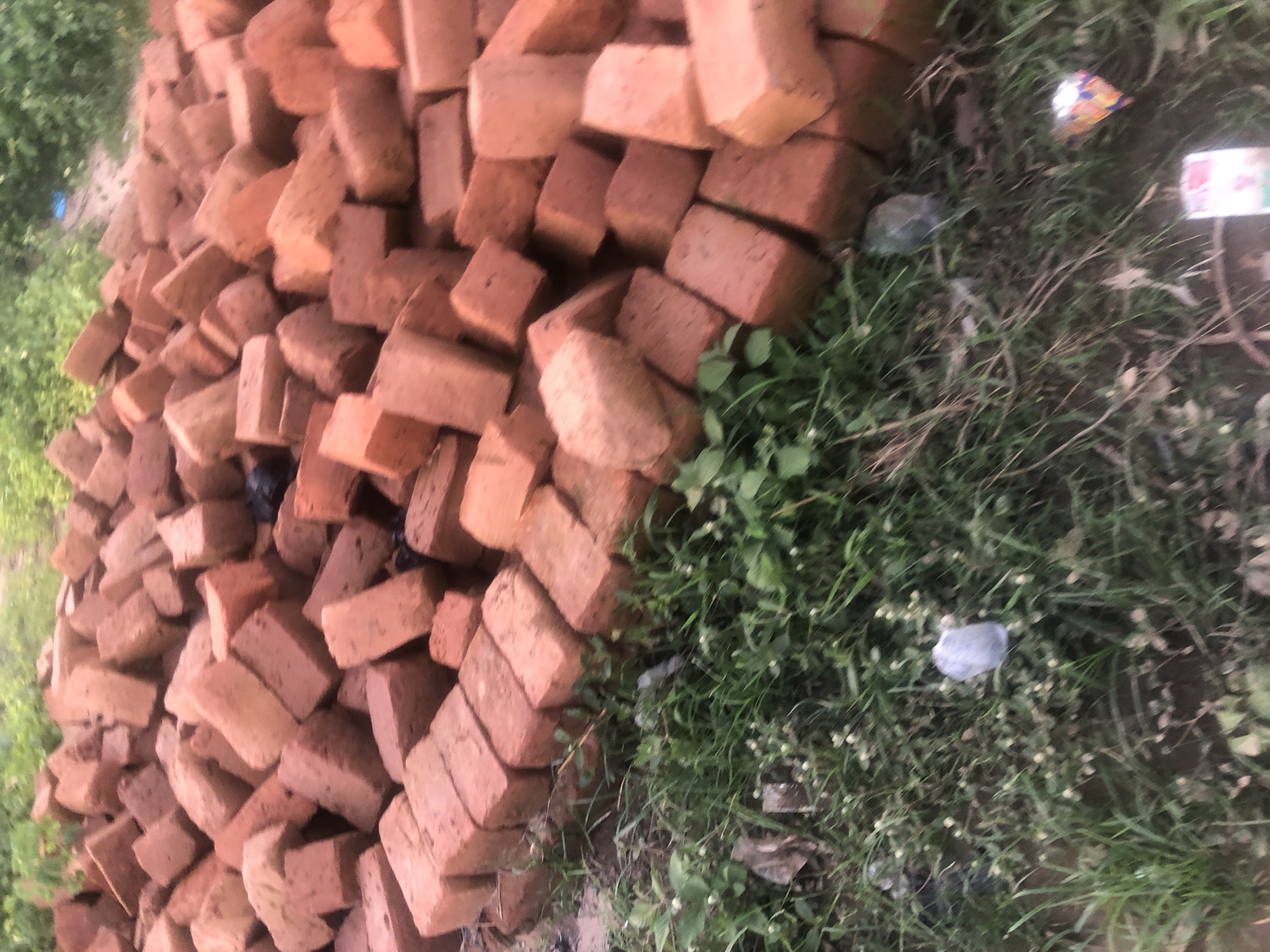 The image depicts a pile of reddish-brown bricks stacked outdoors, likely for construction. The bricks are of various sizes and arranged in a haphazard manner, with some exposed to the elements. In the foreground, a patch of green grass and some scattered debris are visible, suggesting an unkempt or under-development area. The background shows a blur of green foliage and possibly a dirt path, indicating a rural or semi-urban environment. The scene is set in Jalingo, Nigeria. There are no people visible in the image.
