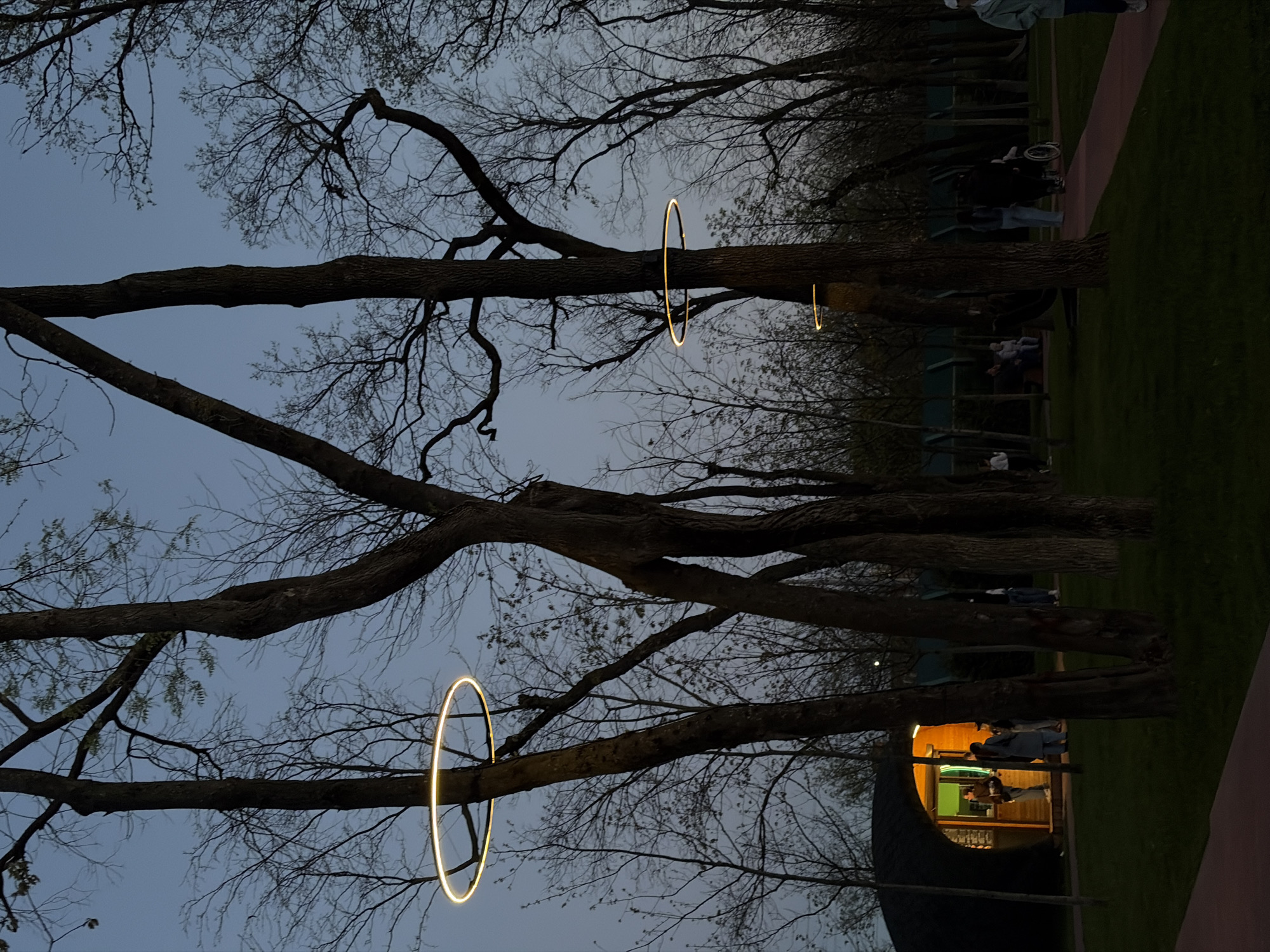 The image captures a twilight scene, likely in a park in Krasnodar, Russia. Several leafless trees dominate the foreground, with branches extending across the frame against a subdued blue sky. Hanging from two of the tree branches are circular, illuminated light fixtures, emitting a warm, yellow glow.
In the background, a path and a green lawn are visible. A dimly lit circular structure is present, with people inside. Other indistinct figures can be seen walking on the path. The overall impression is one of an outdoor space at dusk, lit by artificial lights integrated into the natural setting.