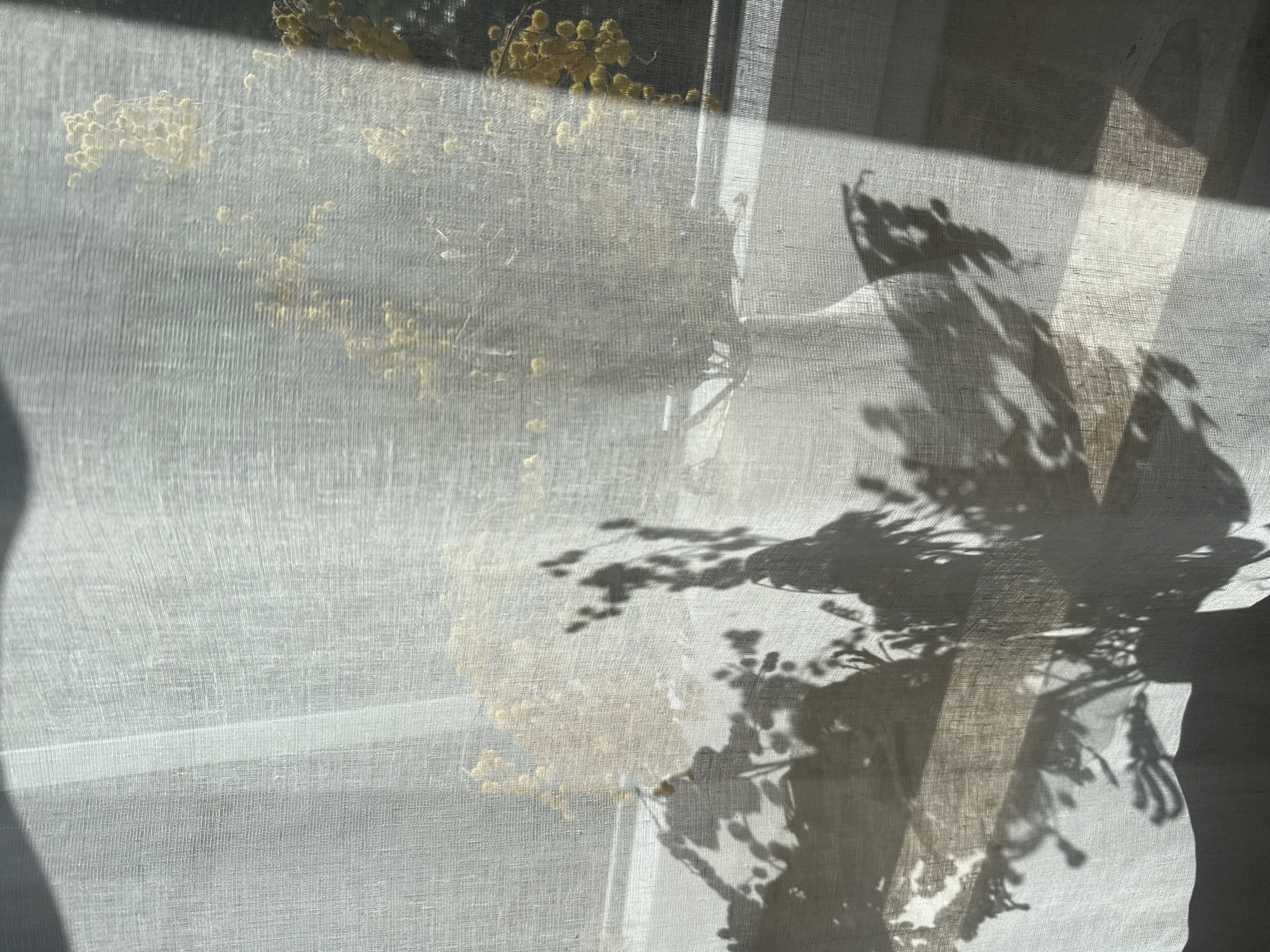 An interior scene shows shadows of foliage and a vase cast on a sheer white curtain. A window is visible behind the curtain, with sunlight streaming through in a diagonal beam on the right side of the frame. Out of focus, yellow flowers are visible through the curtain. The overall impression is a soft, dappled light effect, suggesting a tranquil indoor setting. The location is not specified in the image or the provided context.