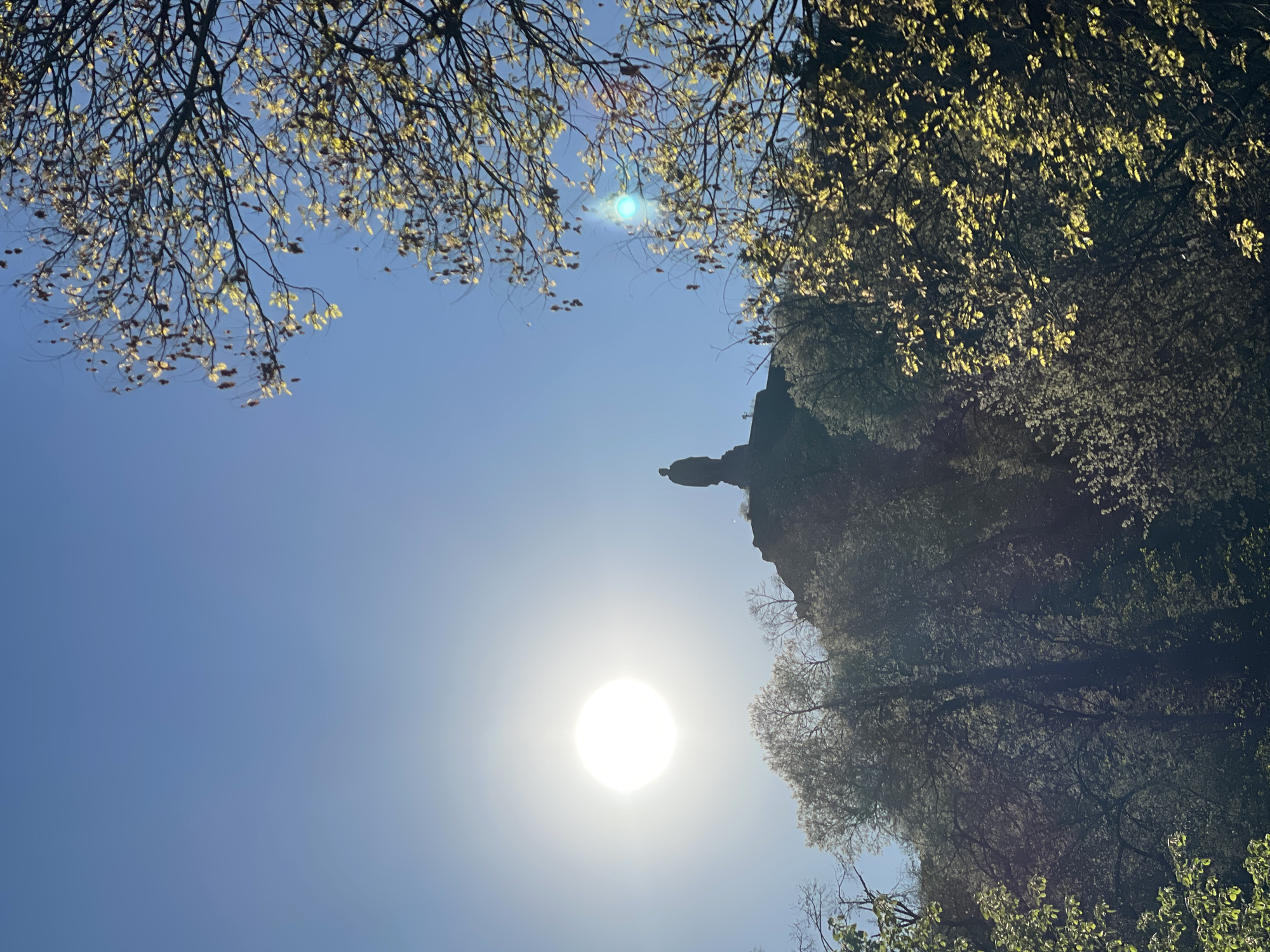 The image, taken from a low-angle perspective, shows the sun in a clear blue sky, partially obscured by the foliage of trees. Tree branches with sparse leaves frame the top and right side of the image. On the right side, there appears to be a cliff or elevated land mass silhouetted against the bright sky. This location is in the city of Plovdiv, Bulgaria.