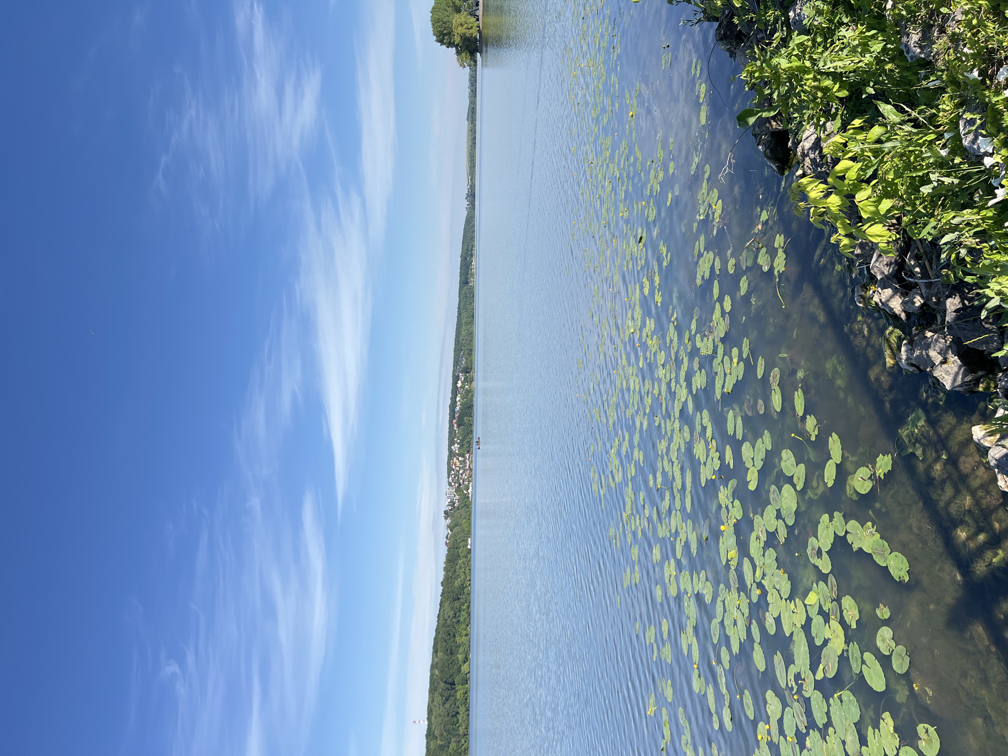 The image captures a serene natural scene at Ternopil Lake in Ternopil, Ukraine. The foreground is dominated by a calm expanse of water filled with lily pads, some with small yellow flowers. The water is clear enough to reveal submerged vegetation and rocks along the shoreline. The shoreline itself is a mix of rocky outcrops and lush green vegetation, with sunlight casting dappled shadows.
In the mid-ground, the vast, blue lake stretches towards the horizon. On the far side of the lake, a tree-lined shore is visible, with a town or city nestled amongst the trees and hills. The town features several buildings, including what appears to be a tall, slender tower on the left side of the frame. A few small boats are out on the water, suggesting recreational activity.
The sky above is a vibrant, clear blue, with scattered wisps of white clouds that add a delicate texture to the upper portion of the image. The overall impression is one of tranquility and natural beauty on a bright, sunny day.